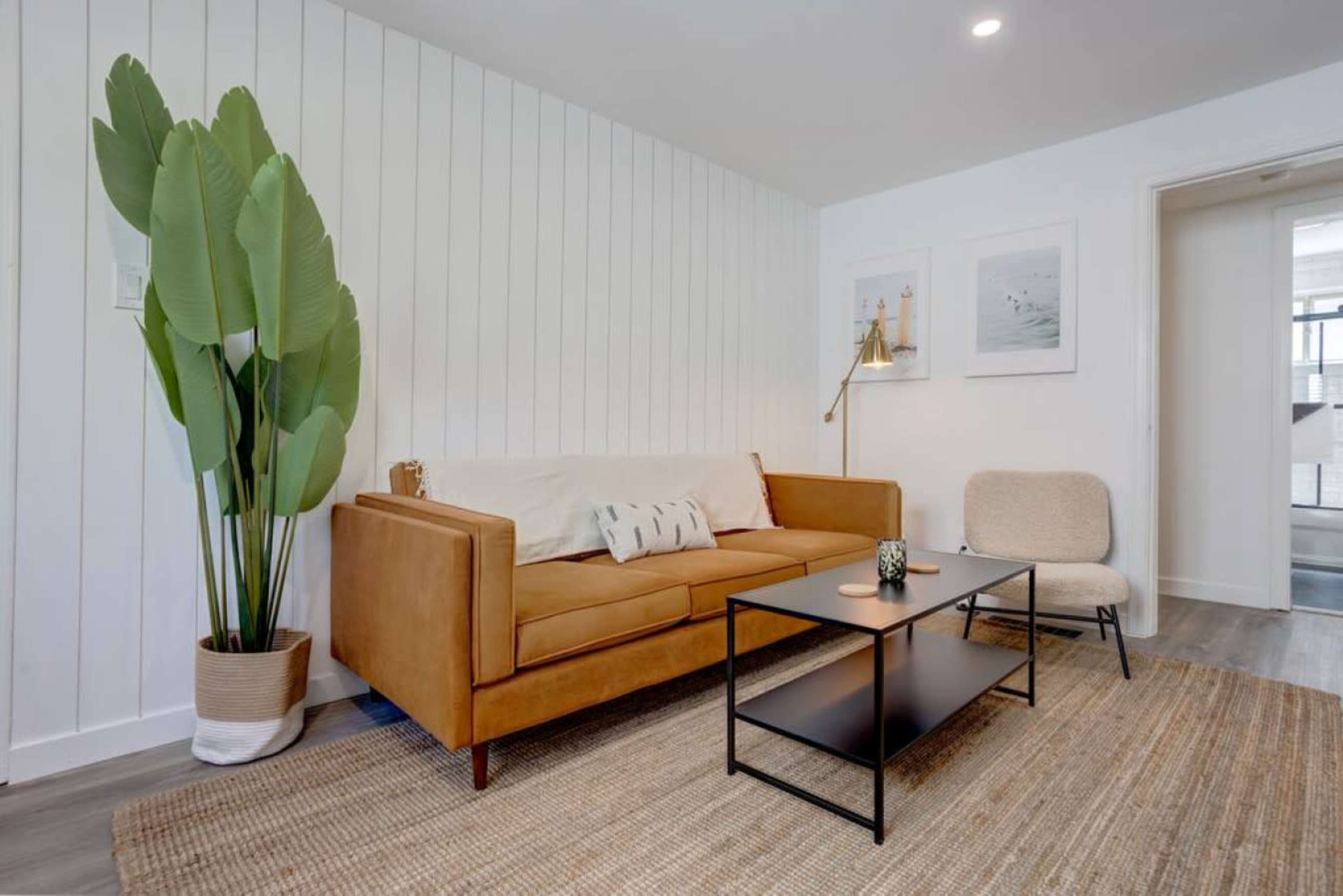 The image shows a modern living room featuring a brown sofa, a black coffee table, a light-colored chair, and a large potted plant against a white-paneled wall.