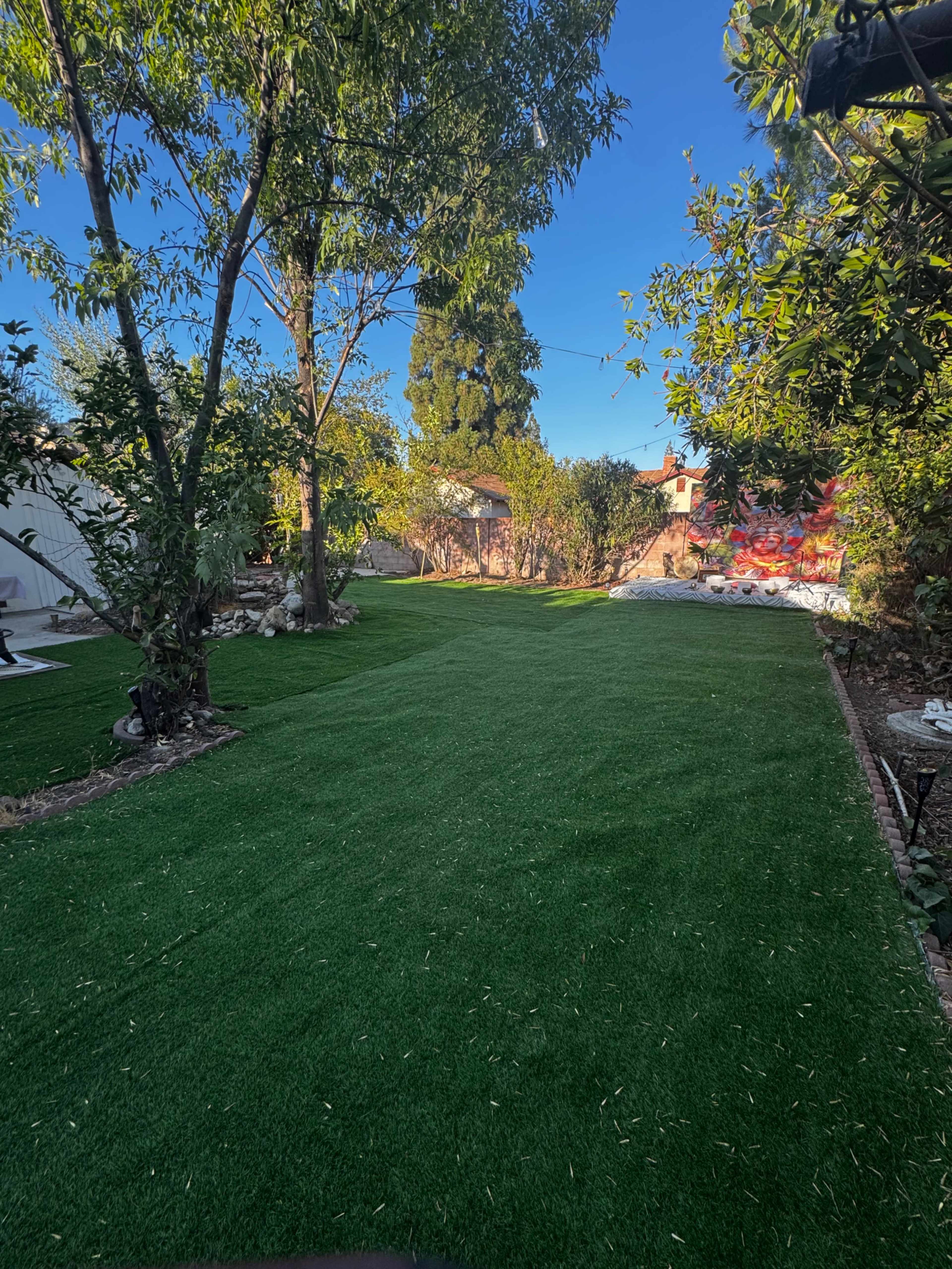 A little rainforest oasis in Los Angeles Image in Winnetka, Winnetka, CA