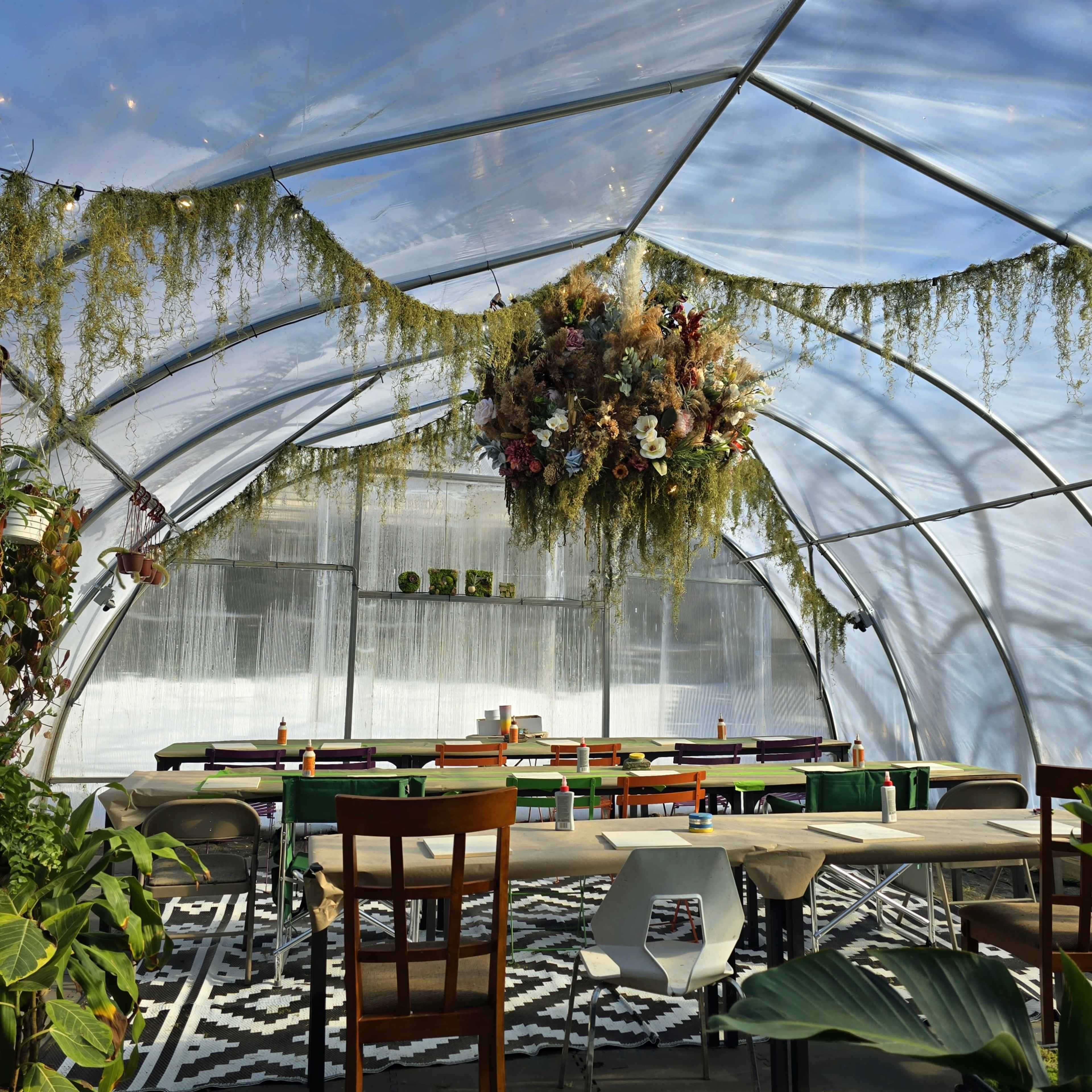Mood-Lit Greenhouse for Intimate Gatherings & Meetings Image in Elmwood Village, Buffalo, NY