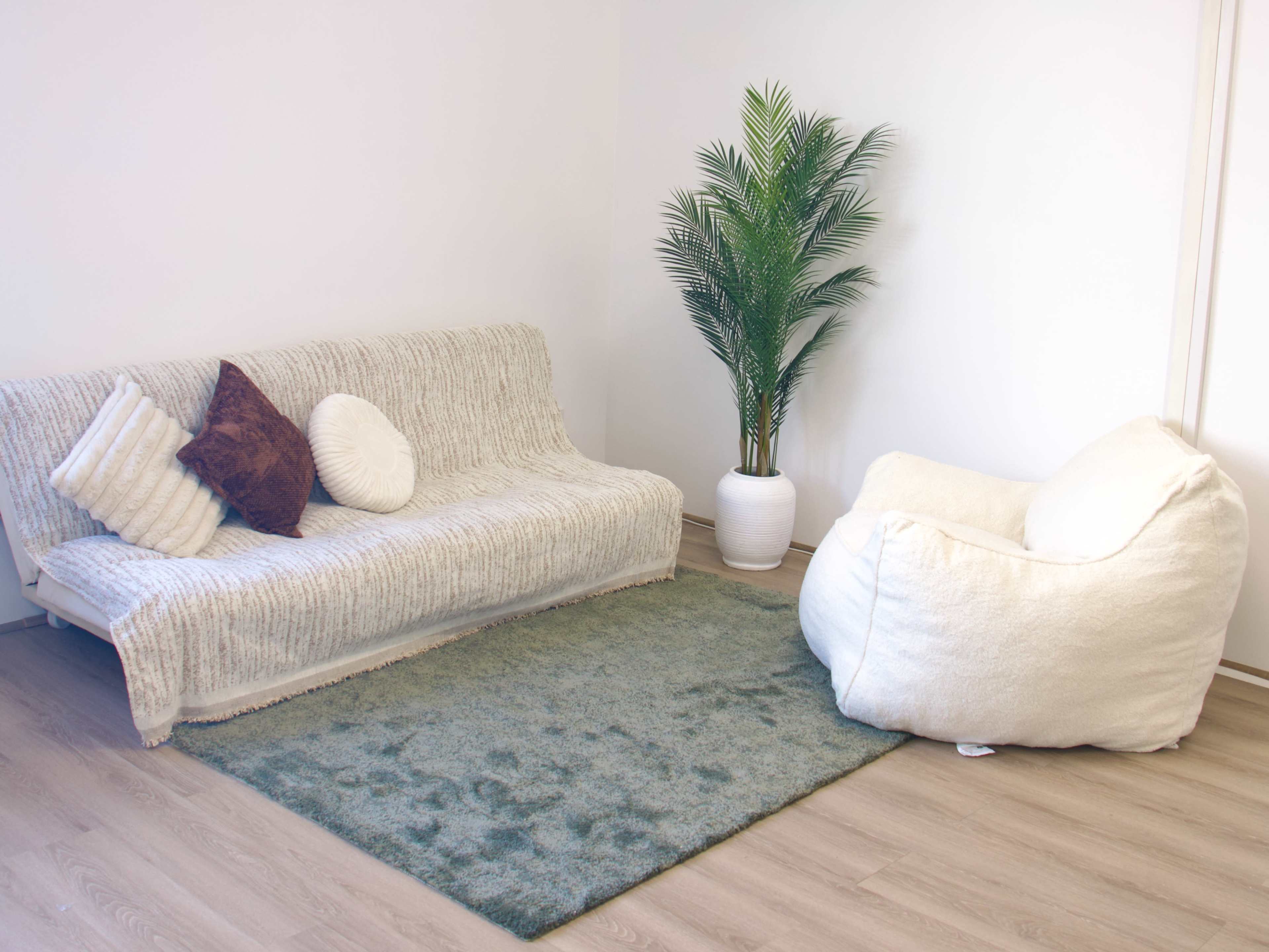 The image shows a minimalistic living space with a white sofa draped in a textured blanket, a large white bean bag, a green area rug, and a potted plant in the corner.