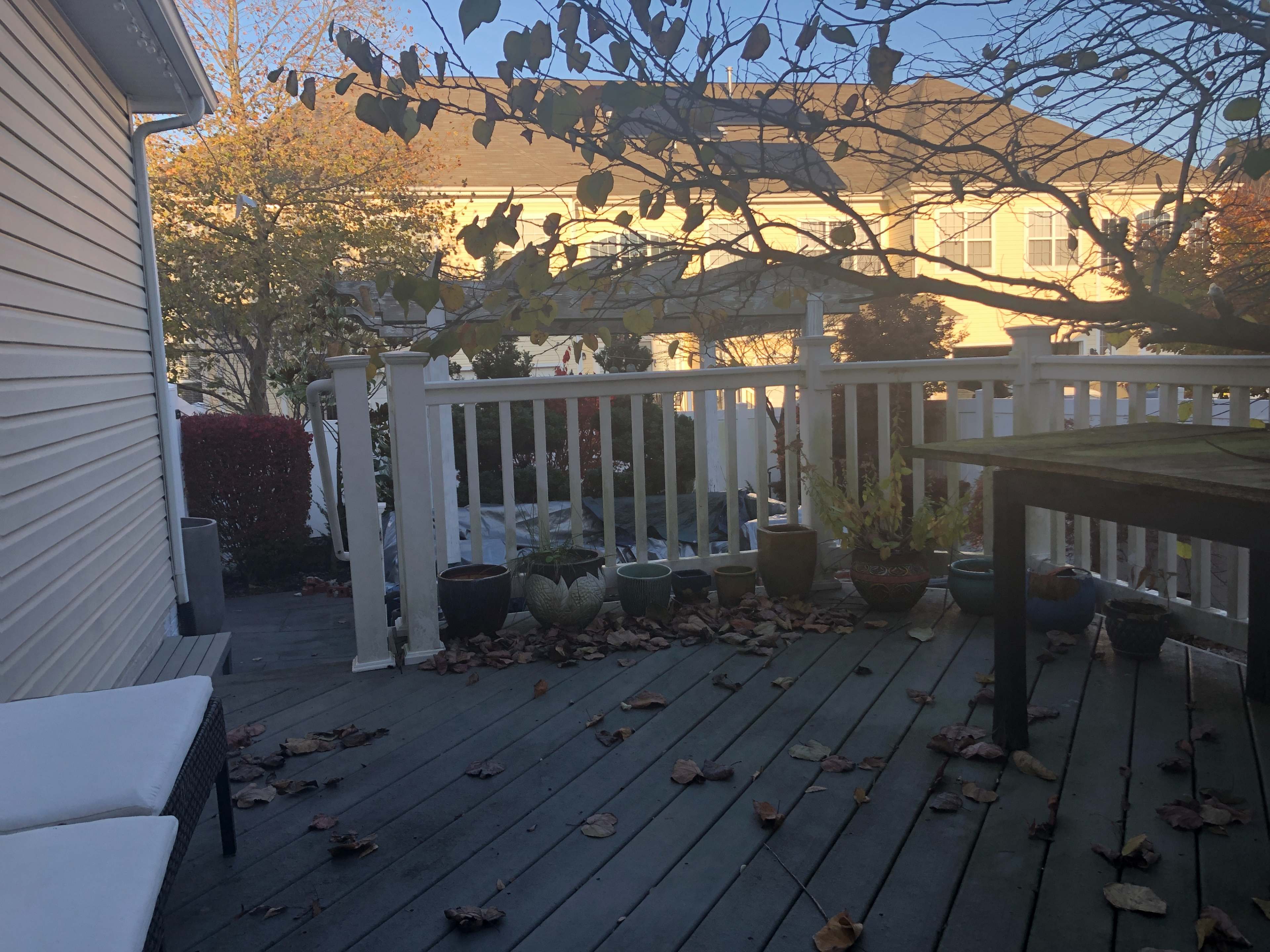 A wooden deck is adorned with potted plants and scattered autumn leaves, bordered by a white railing and residential buildings in the background.