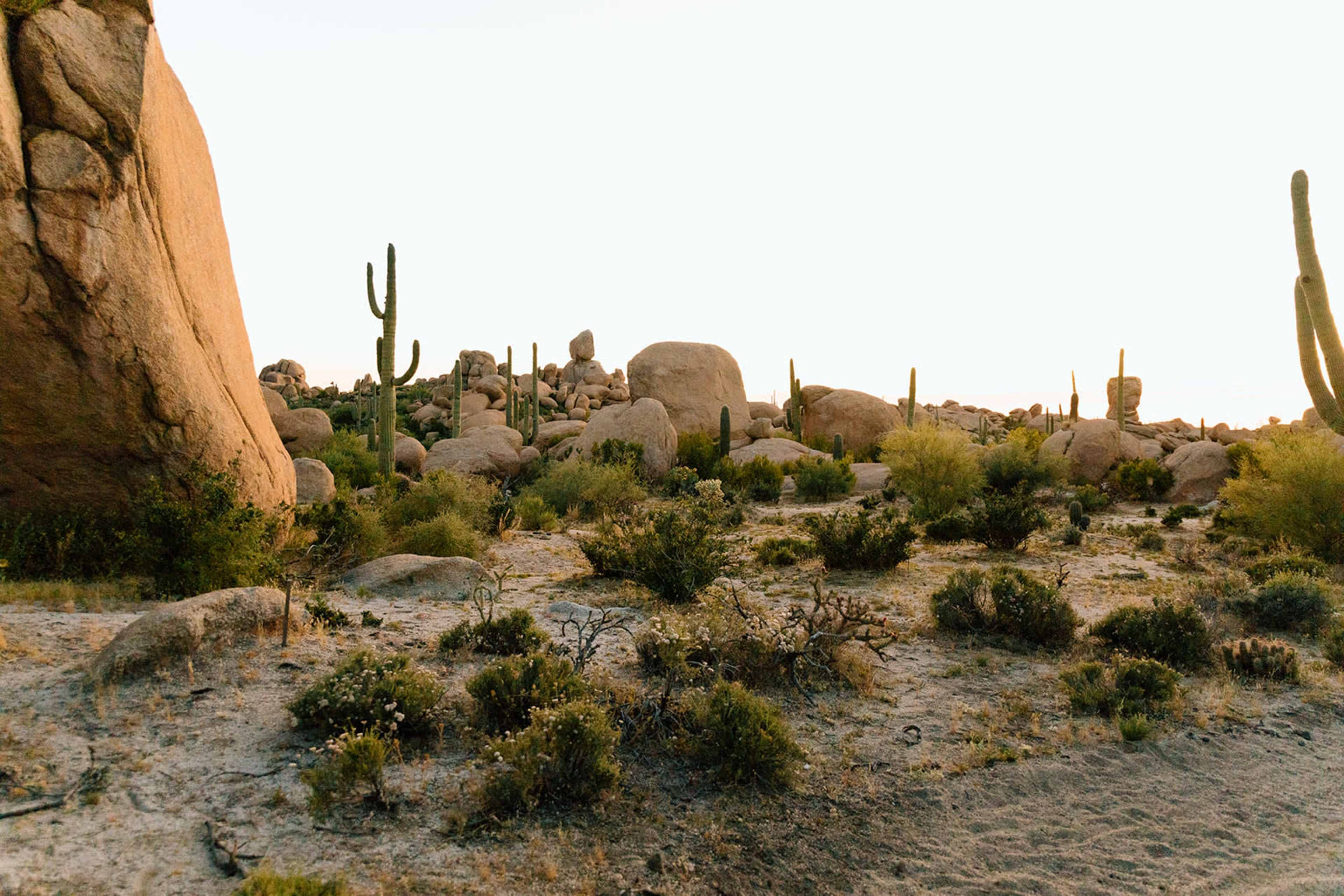 The image shows a rocky desert landscape with large boulders and scattered cacti.