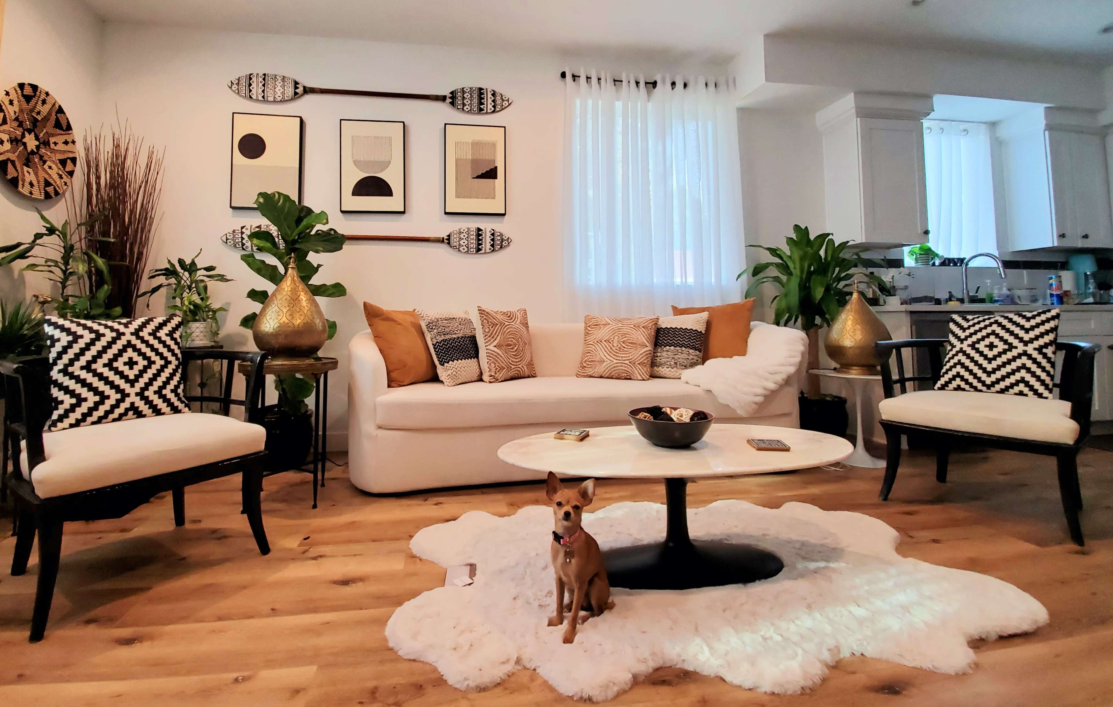 A cozy living room features a white sofa with patterned cushions, two black chairs, a round coffee table, and a small dog on a fluffy rug, surrounded by indoor plants.