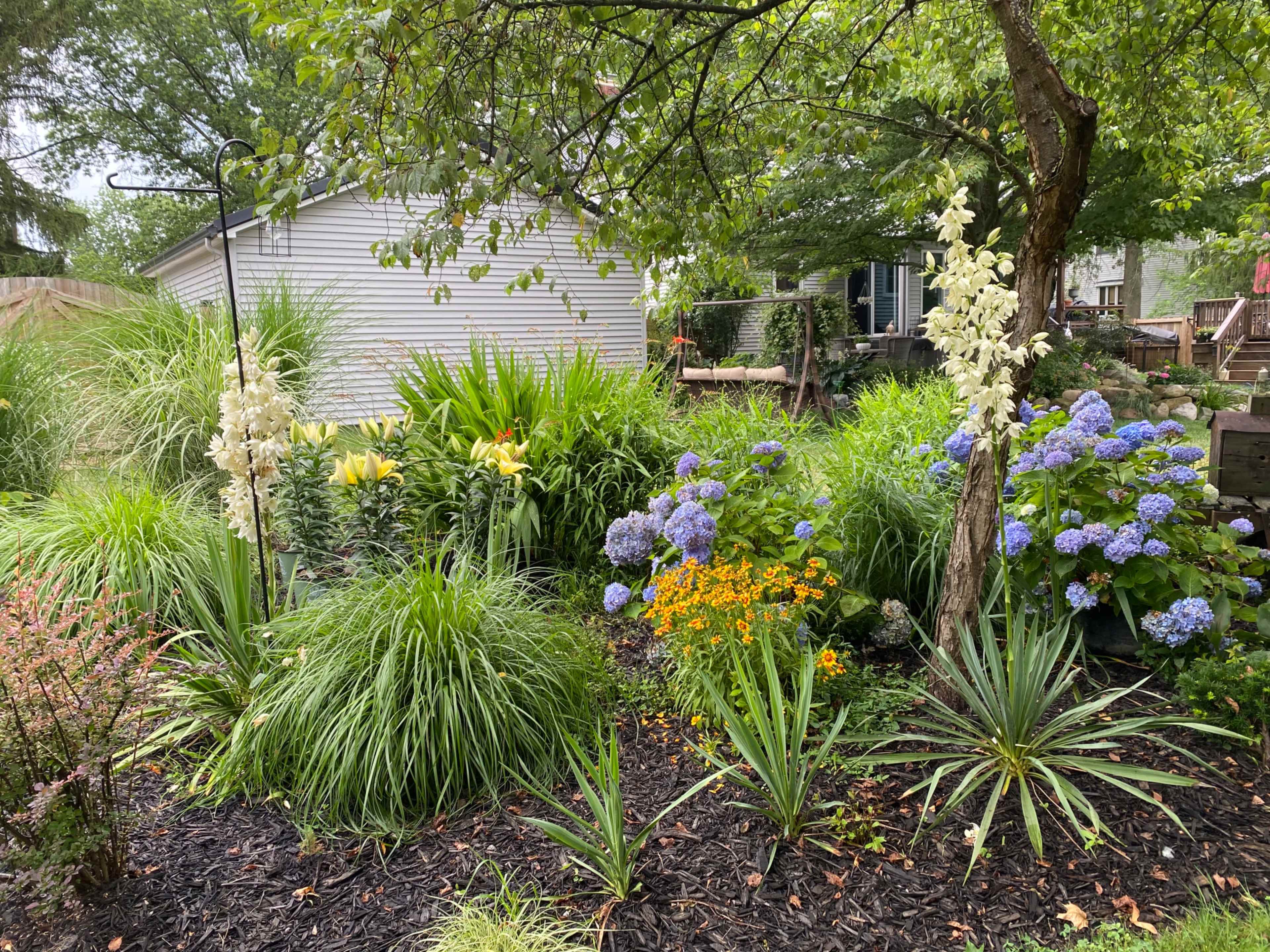 The image shows a lush garden filled with various flowers and plants, including tall white blooms, orange daisies, and blue hydrangeas, set against a backdrop of a house and trees.