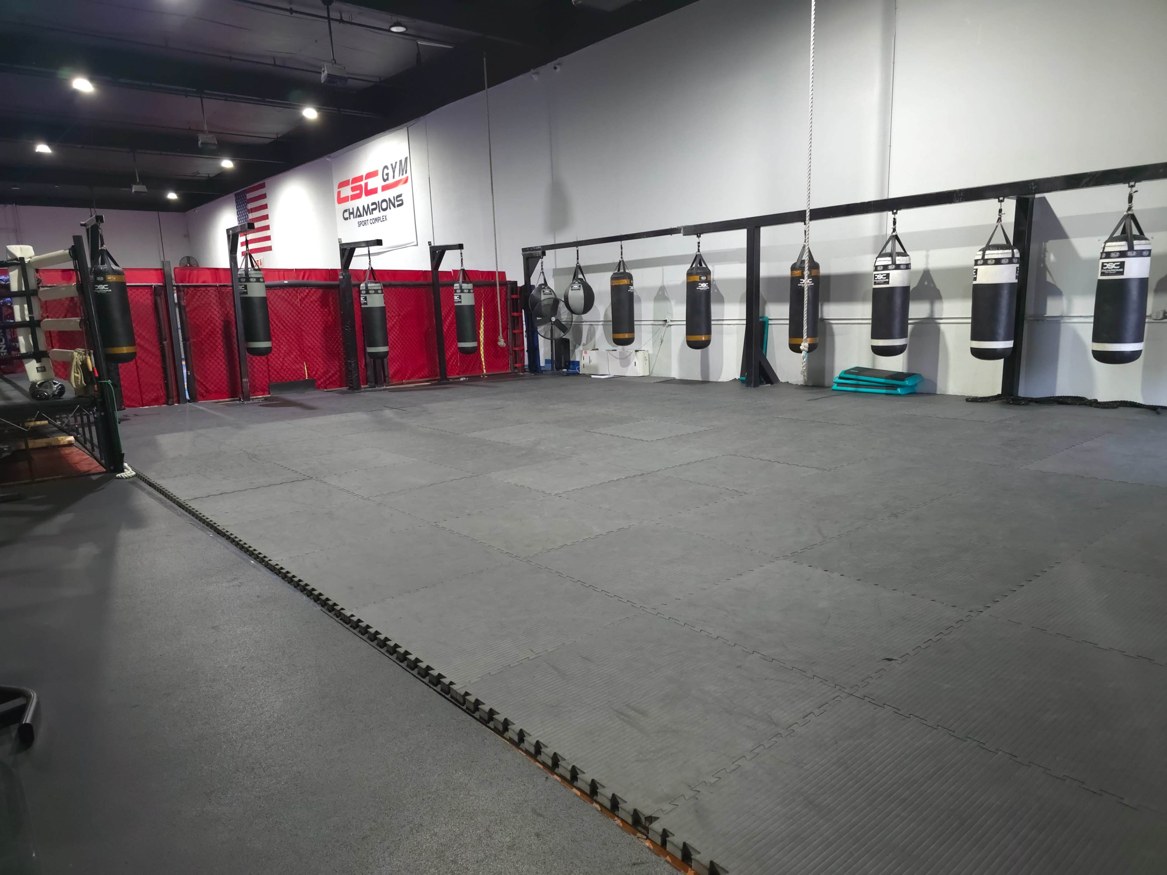 The image shows a spacious boxing gym featuring several hanging punching bags, a padded floor, and a red training area in the background.