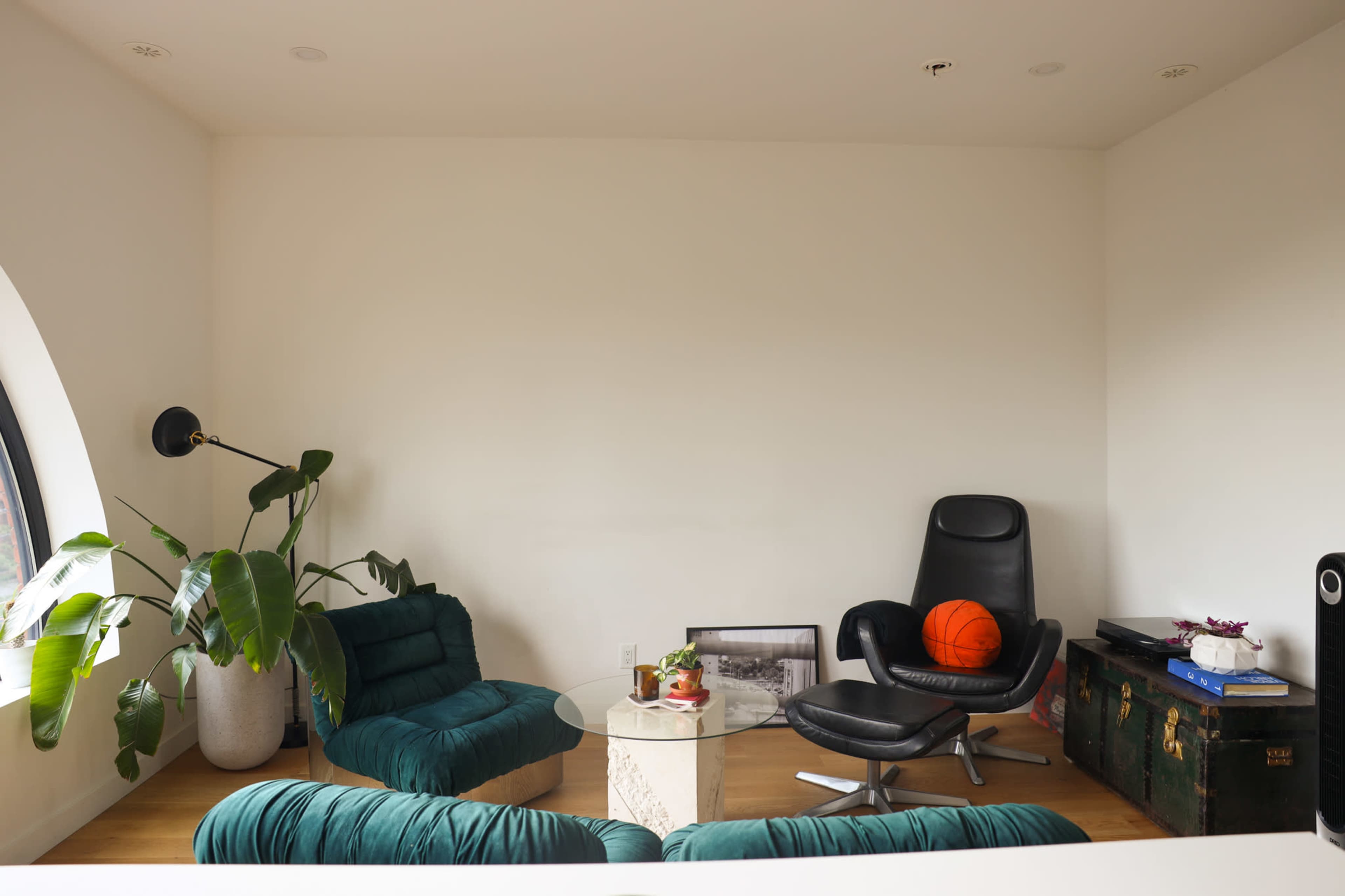 The image shows a modern, minimalist living space with two green chairs, a black lounge chair, a glass coffee table, and a large houseplant in a corner.