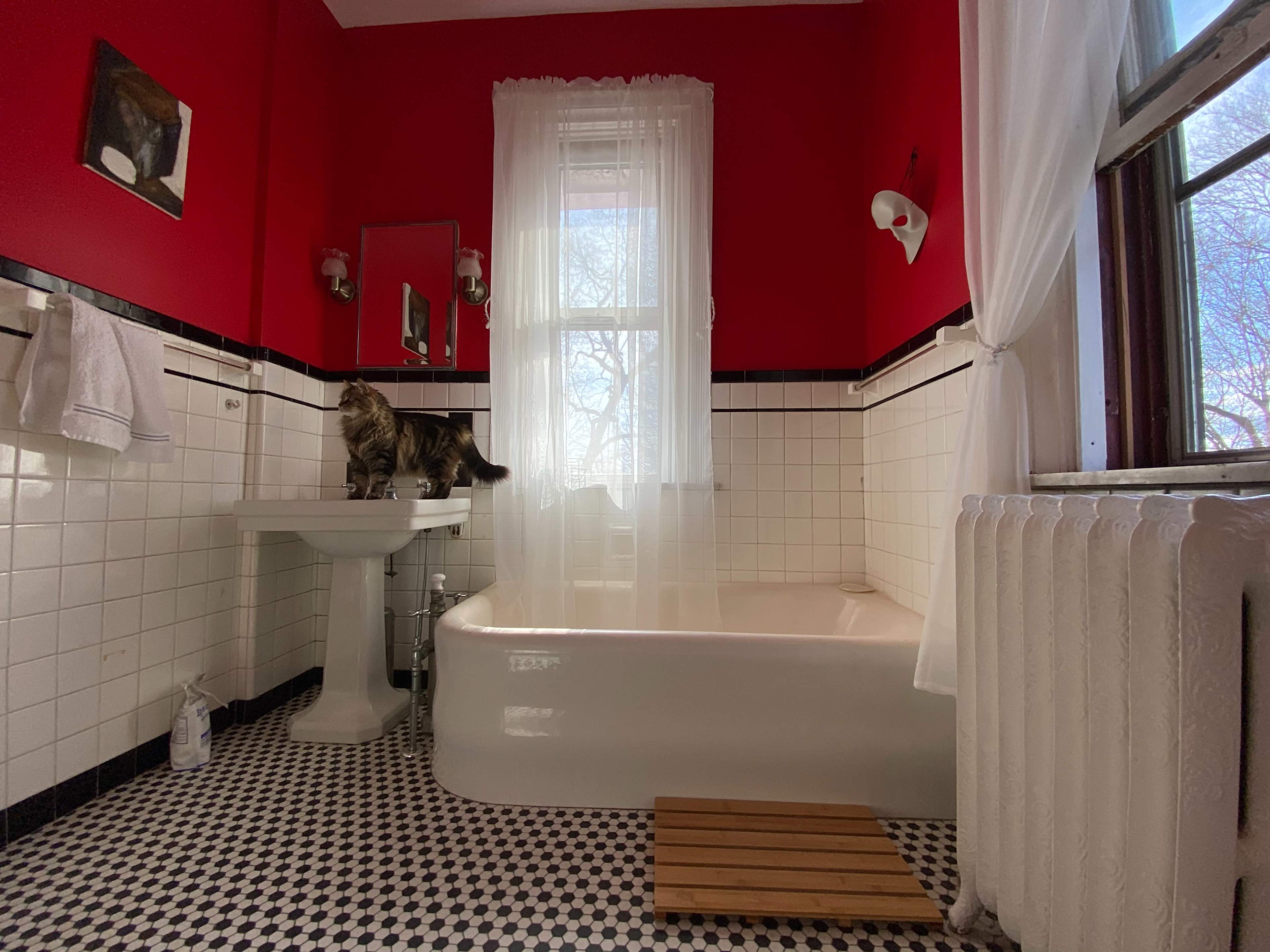 A bathroom features a red wall, a white bathtub, a sink, and a cat standing on the sink.