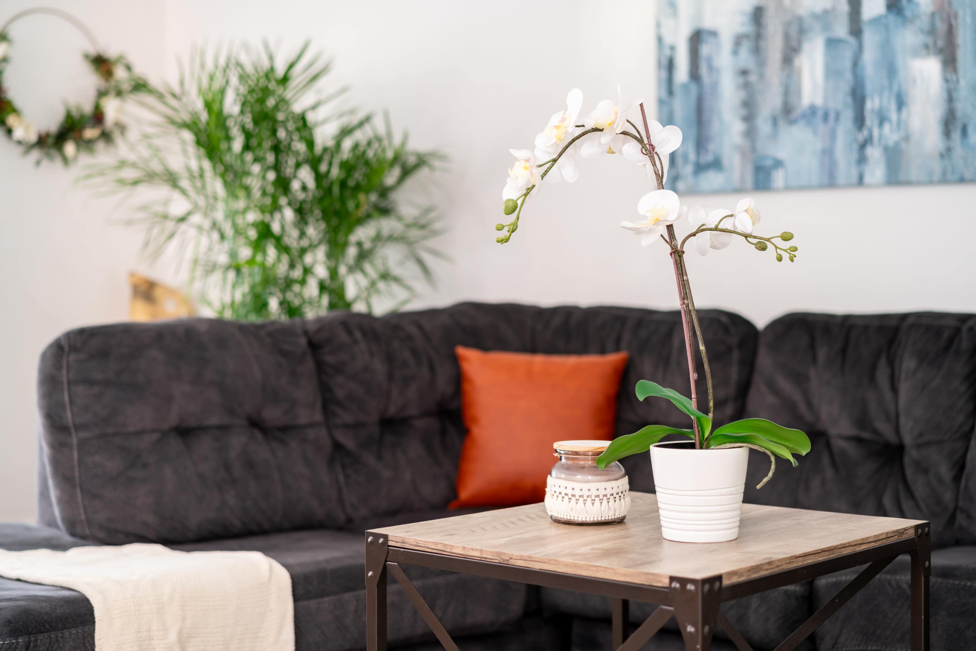 Casa Uno 🌿🐯 Short North • Convention • Private Parking • Pets Image in Victorian Village, Columbus, OH