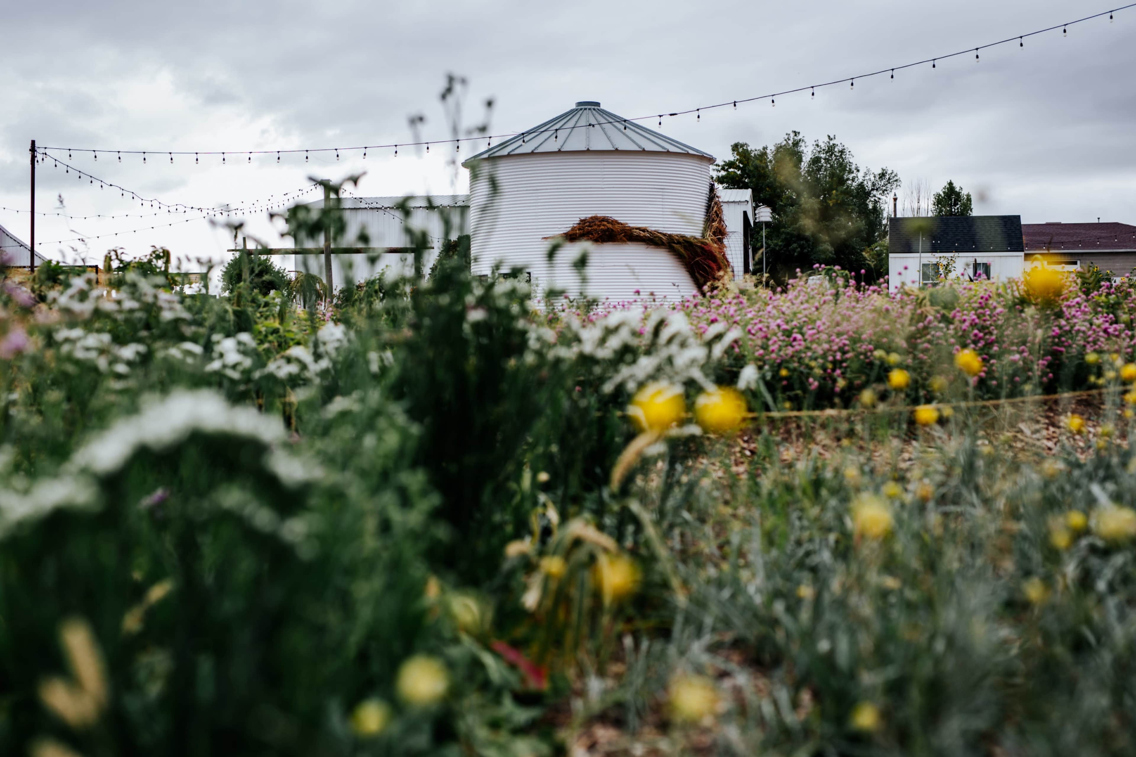 Outdoor Meadow Gathering Grounds with Botanical and Mountain Views Image in Riverton, Riverton, UT