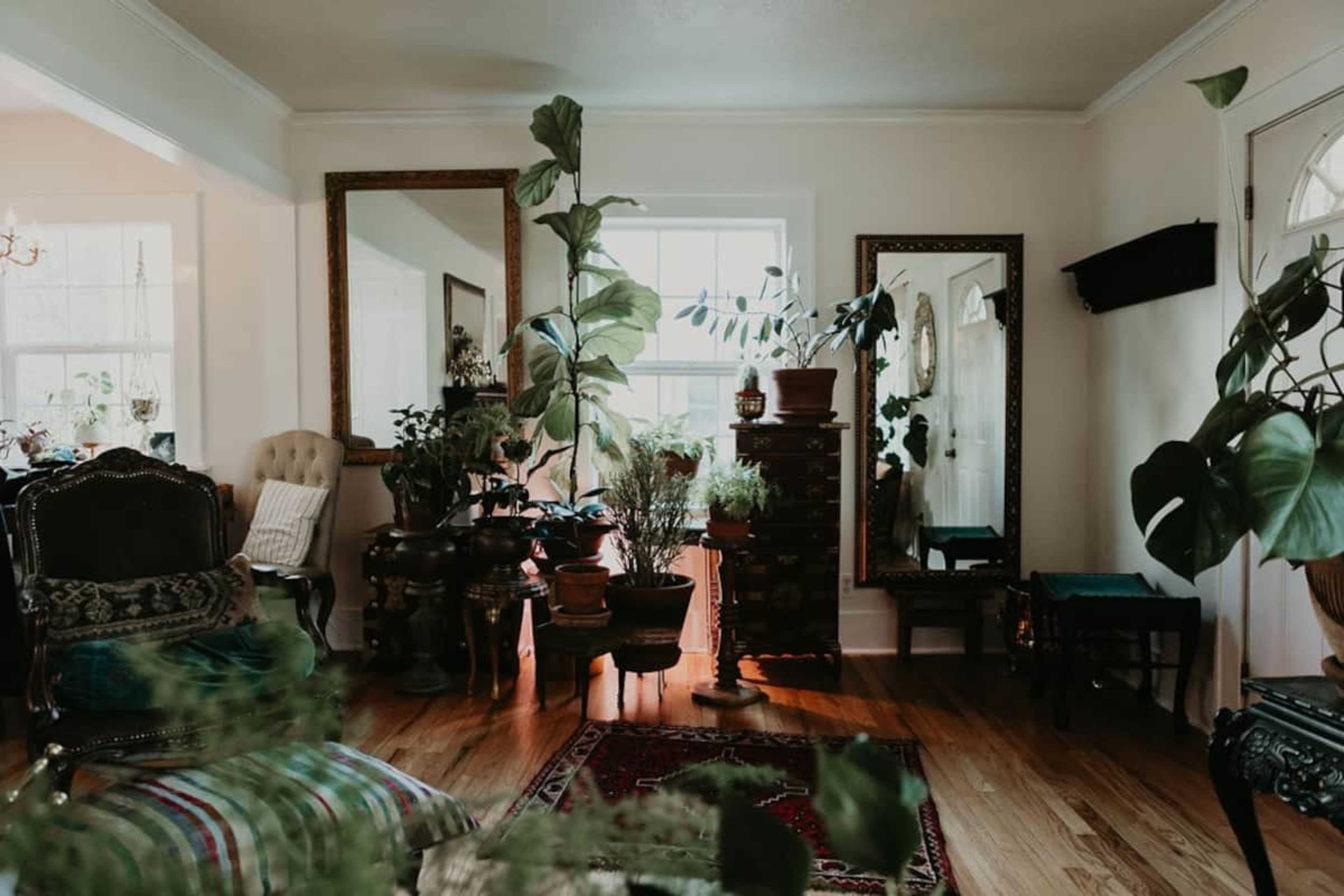 The living room features a mix of vintage furniture and numerous indoor plants, with large mirrors reflecting light and greenery.