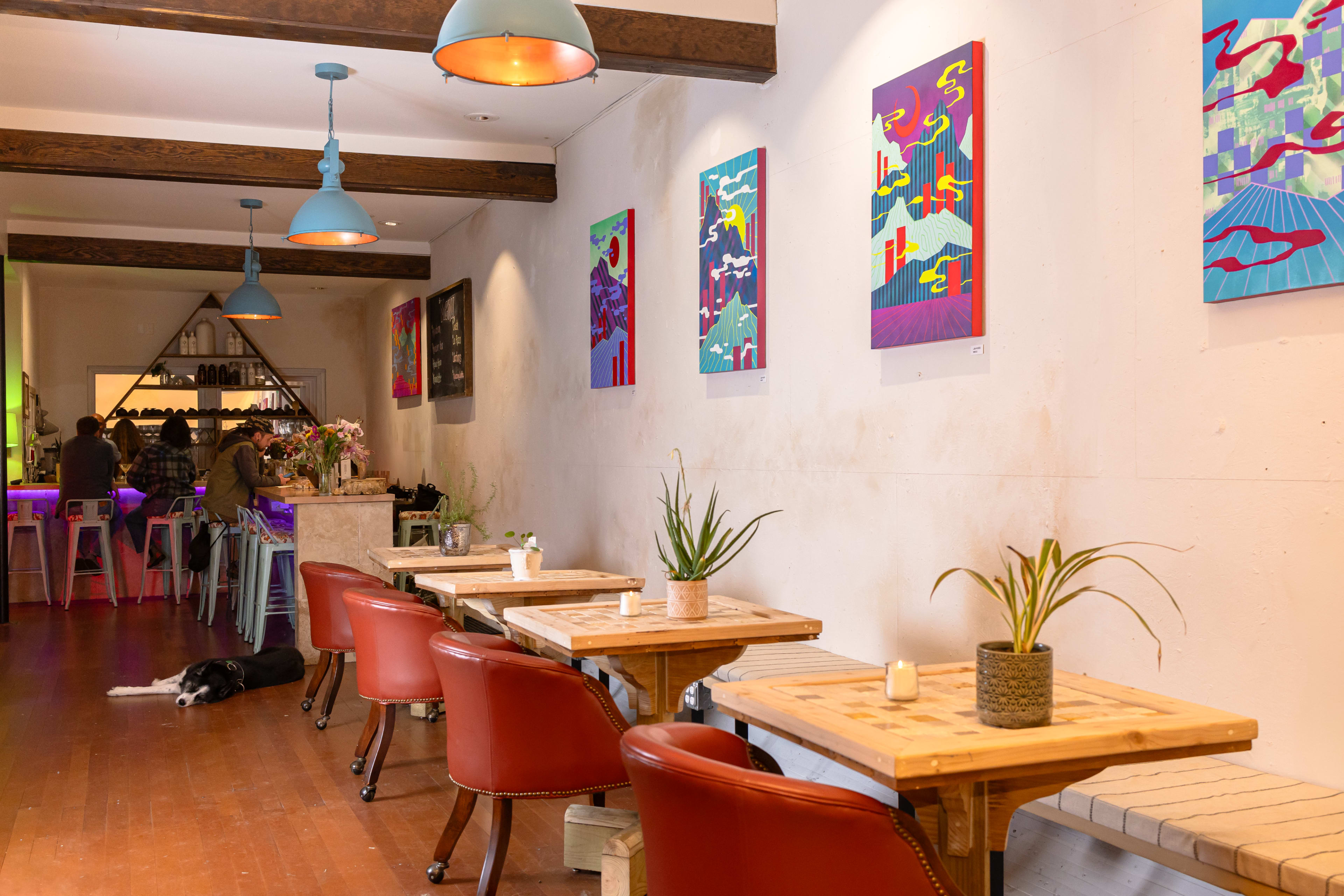 The image shows a cozy café interior with wooden tables, colorful wall artwork, and a dog resting on the floor.