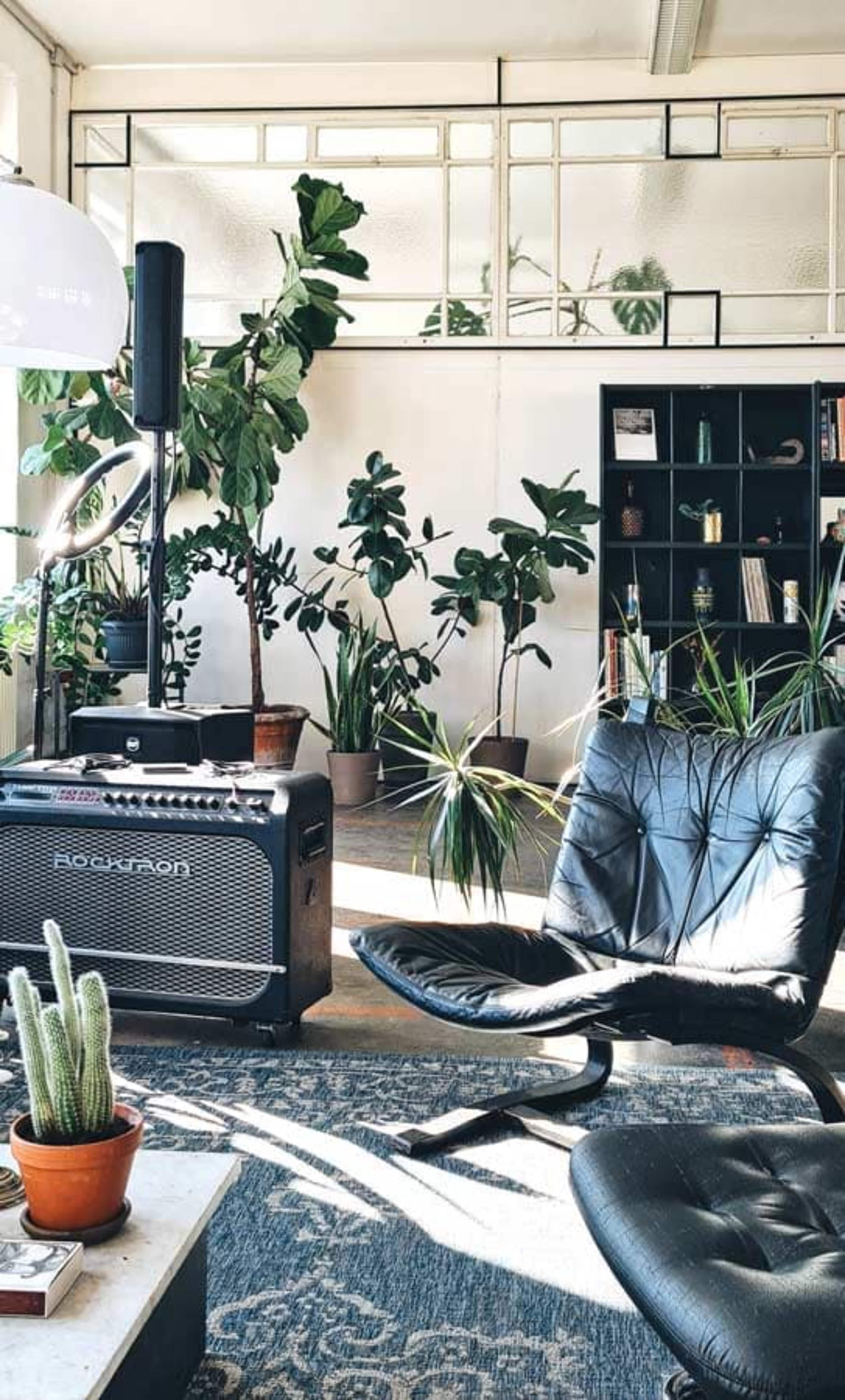 The scene features a cozy living area with numerous potted plants, a black lounge chair, a speaker, and a bookshelf against a wall with large windows.