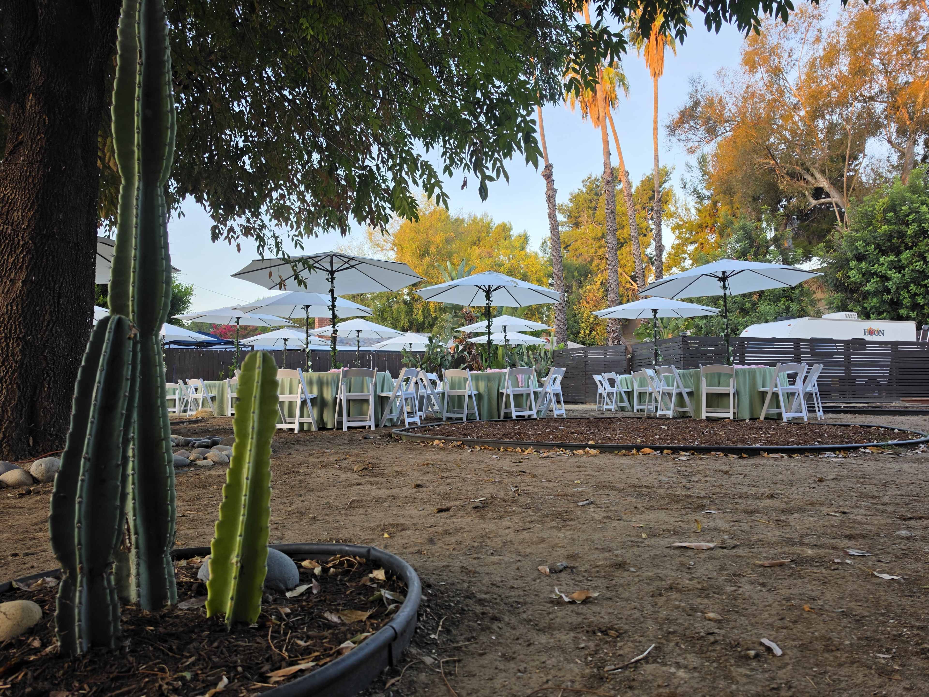 The image shows a seating area with white tables and chairs under large umbrellas, surrounded by greenery and cacti in a dirt setting.