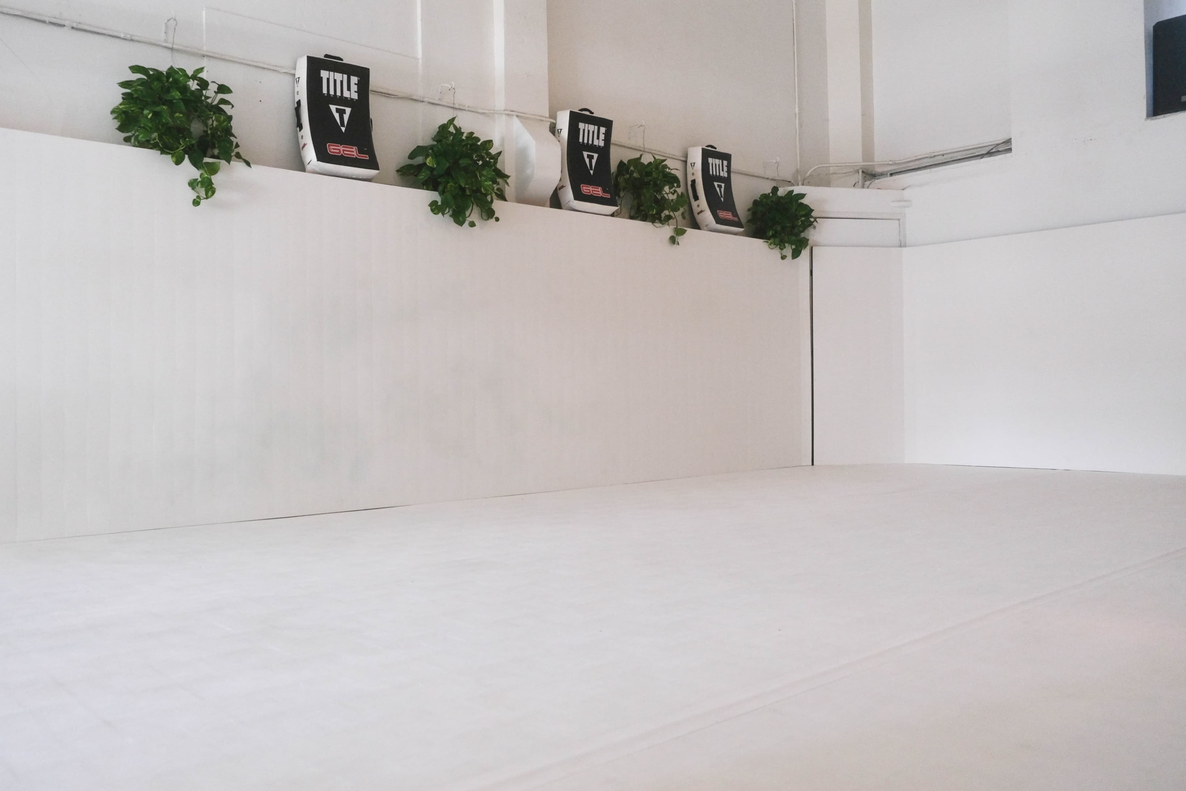 A sparsely decorated white room with a plain white floor, featuring several plants and posters mounted on the wall.