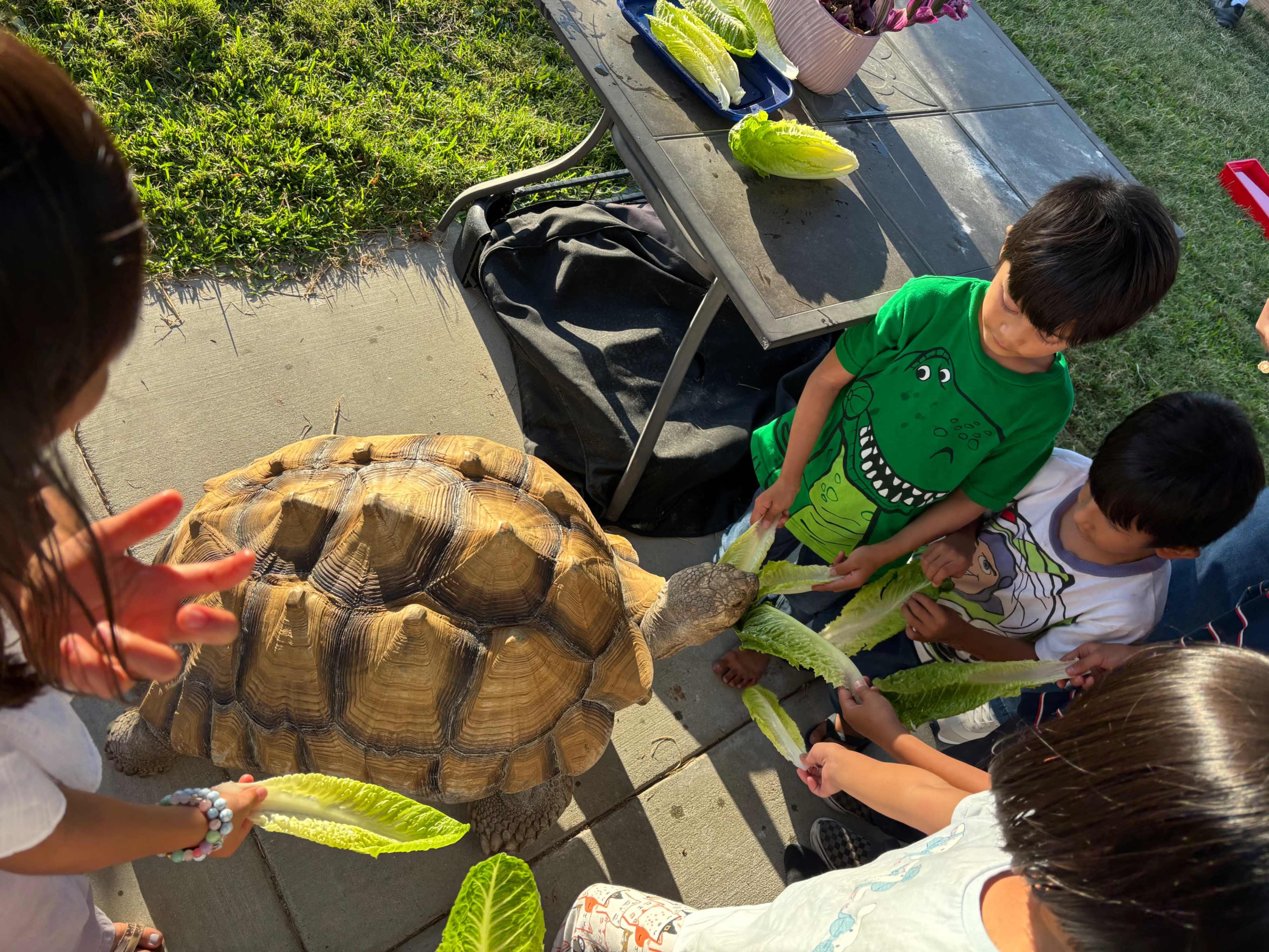 Reptile Show, Photo booth Included!  Bounce House, Tables/Chairs, Canopies available as add ons at low price. Private Backyard for Kids Birthday Parties/ Baby Showers/Baptism only. Free bball court, playground, and many more included! Image in Northwest Anaheim, Anaheim, CA