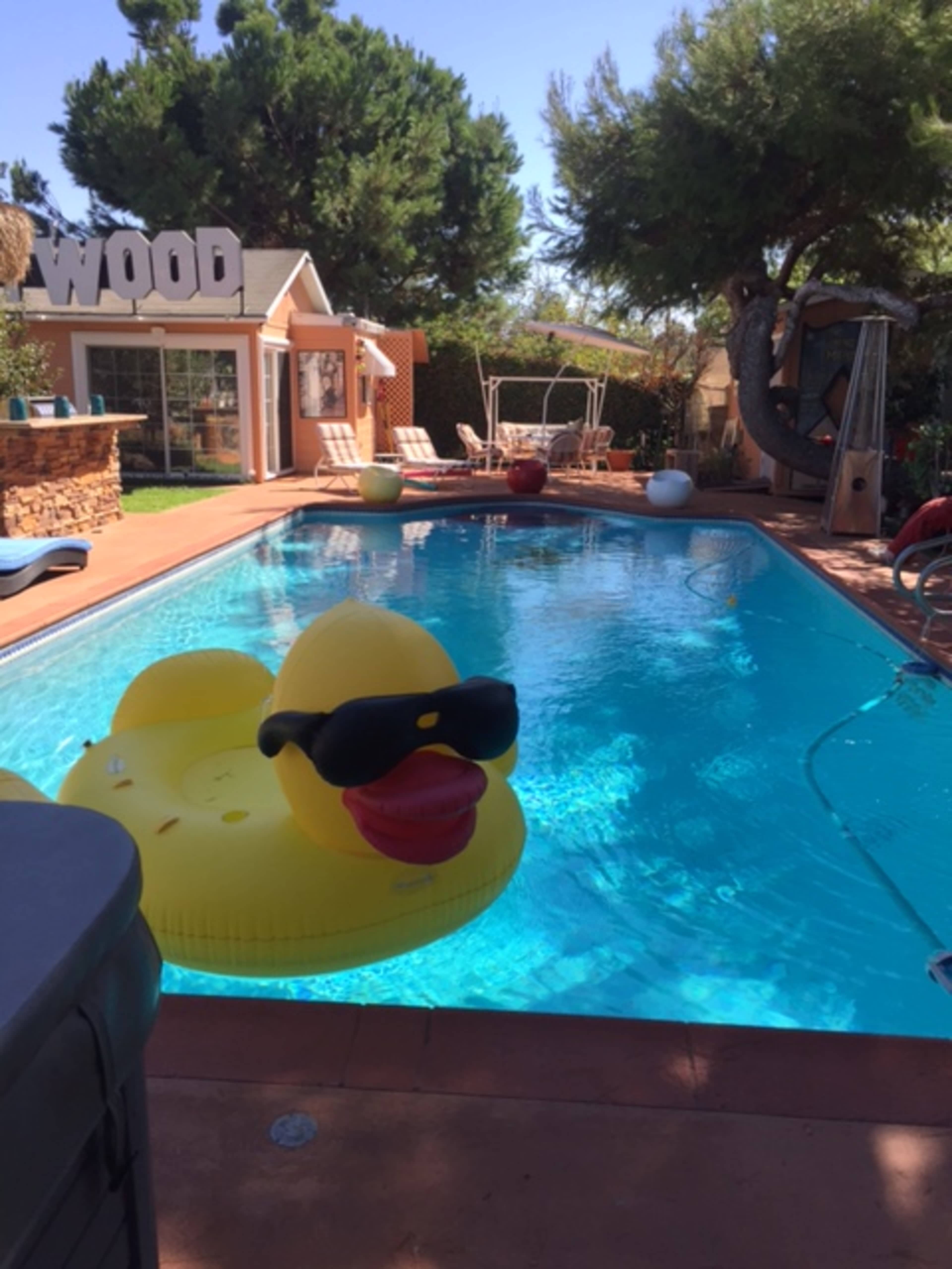 A large inflatable yellow duck wearing sunglasses floats in a swimming pool surrounded by a landscaped backyard.
