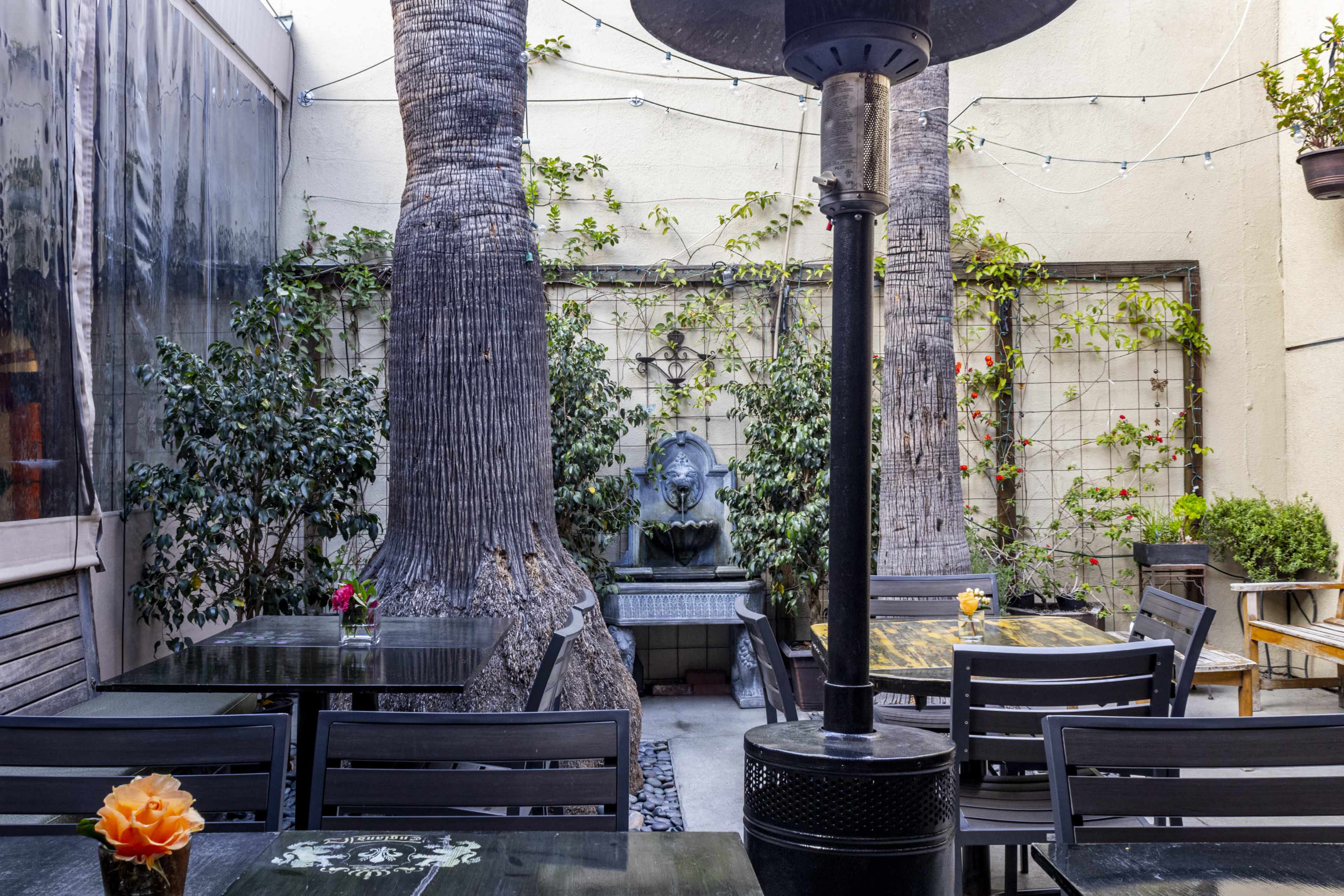 The image shows a tranquil outdoor dining area with tables surrounded by tall palm trees and a small fountain against a green backdrop.