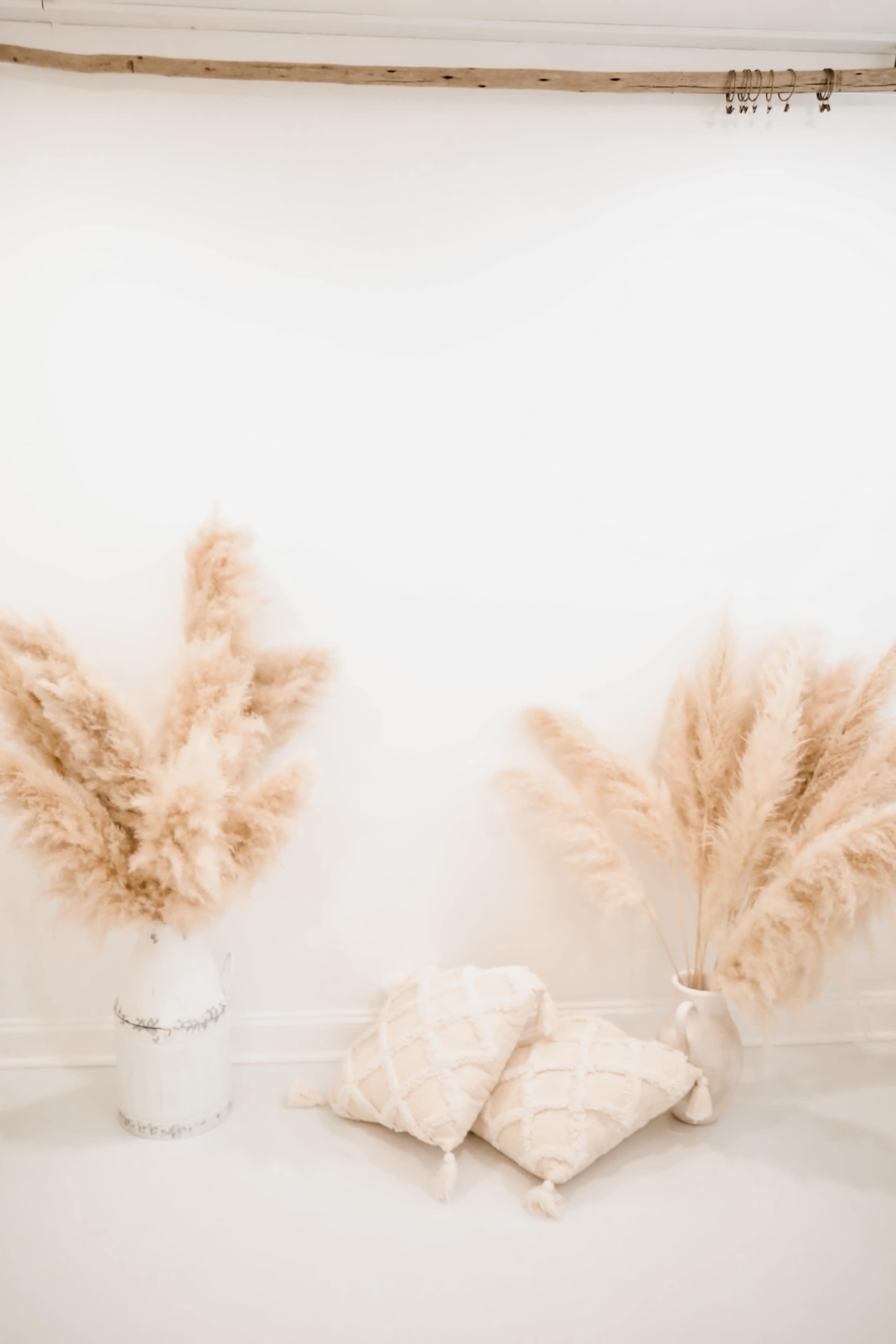 Minimalist Boho Bright White Photography Studio in Kennett Square Image in Kennett Square, Kennett Square, PA