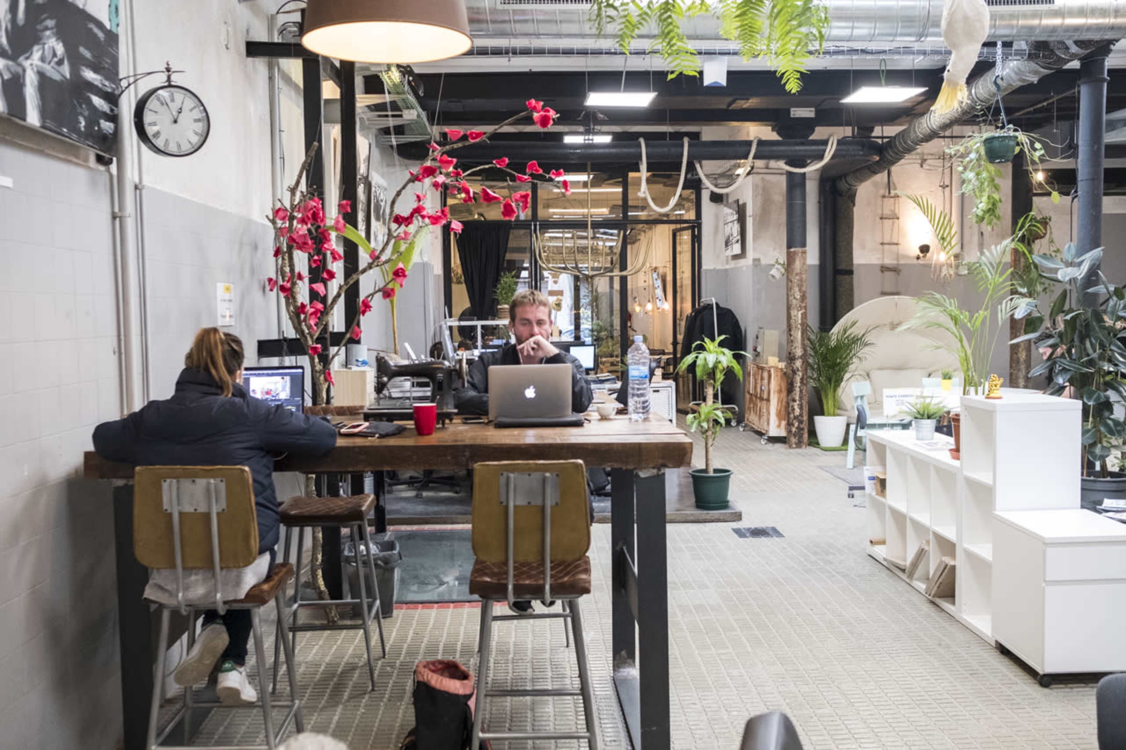 Un Espacio de Coworking Creativo en Montjuic Image in El Poble-sec, Barcelona, B