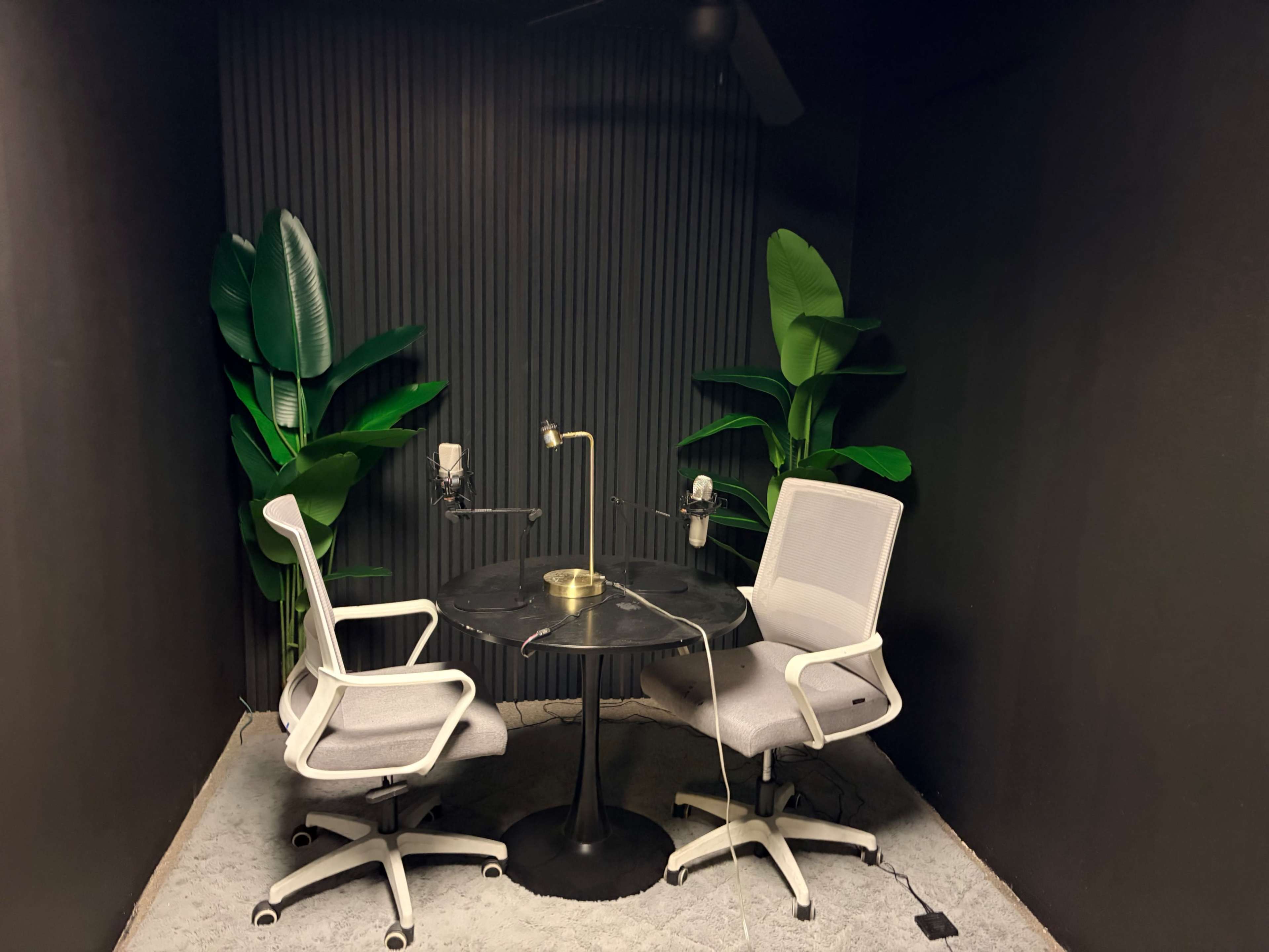 The image shows a small recording studio with two chairs positioned around a circular black table, flanked by green plants, and equipped with microphones.
