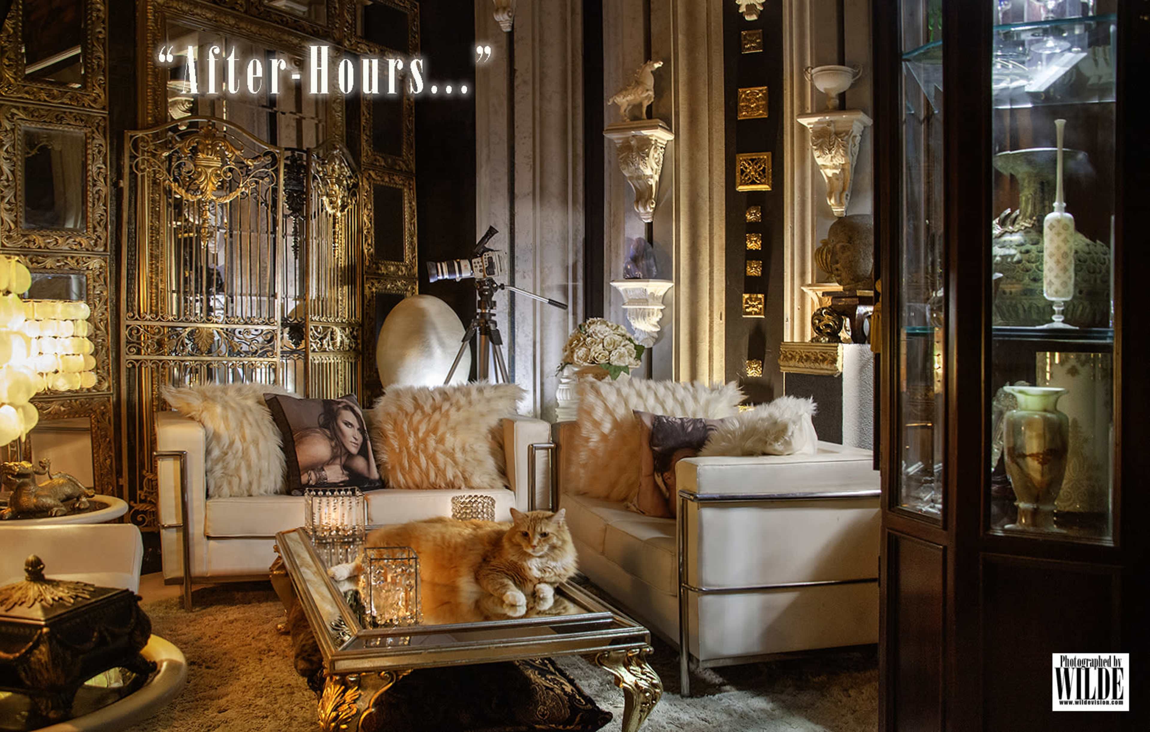 The image features an elegantly designed room with plush seating, decorative furnishings, and a relaxed orange cat sitting on a coffee table.