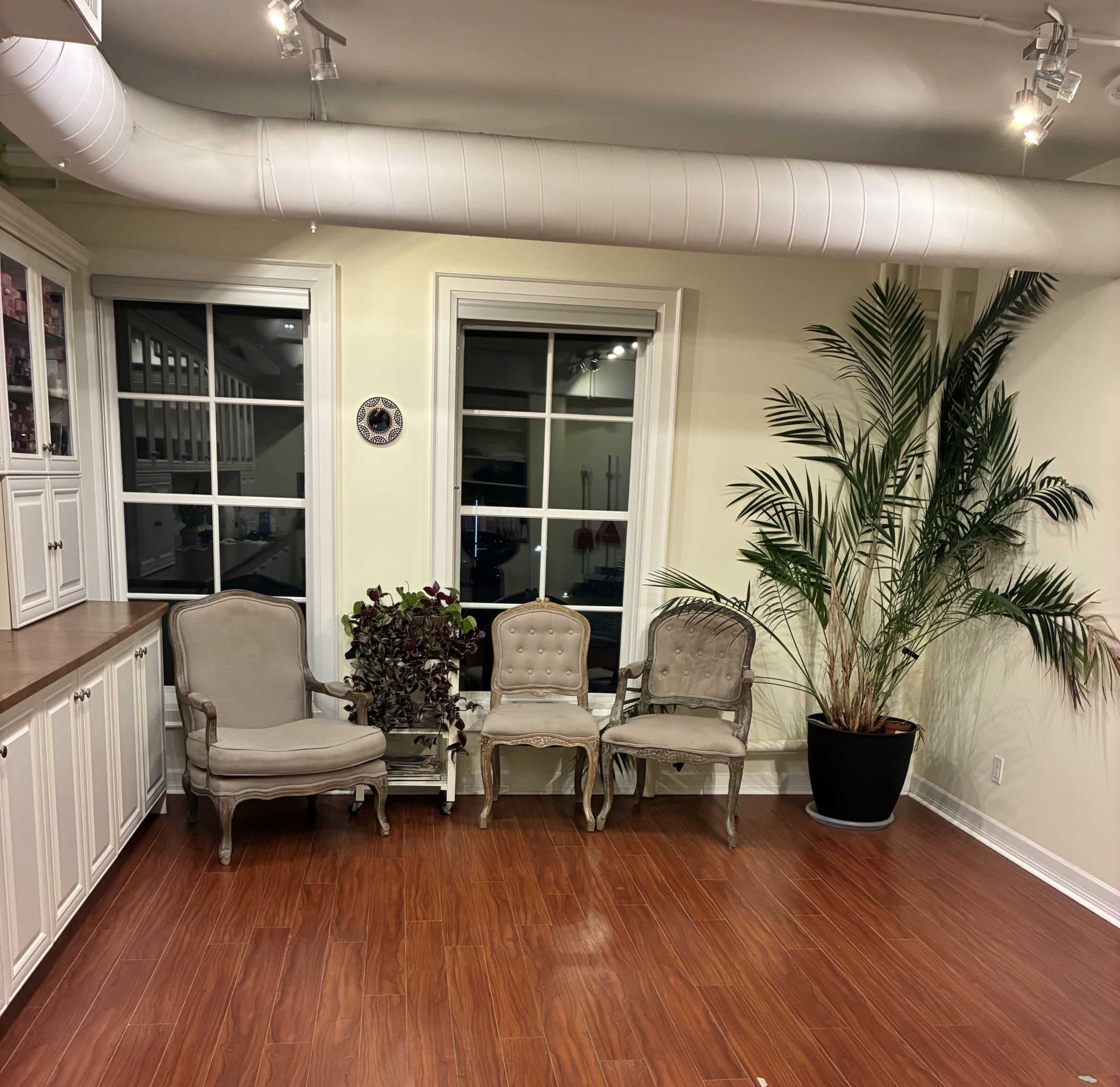 The image shows a corner of a room with three ornate chairs, a large potted plant, and a kitchenette along one wall.