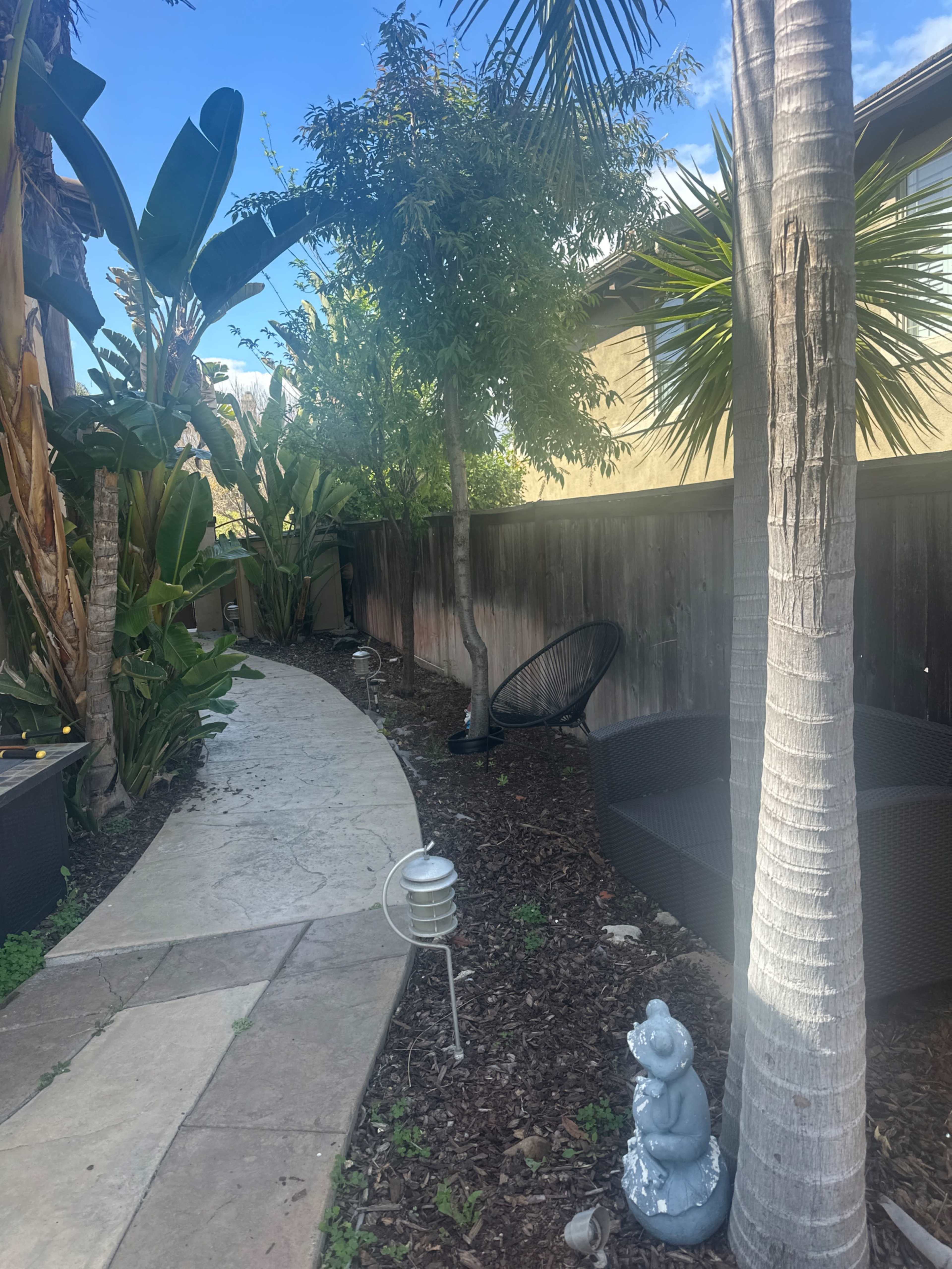 Tropical backyard, waterfall and pond, 10ft bar grill area Image in Otay Ranch, Chula Vista, CA