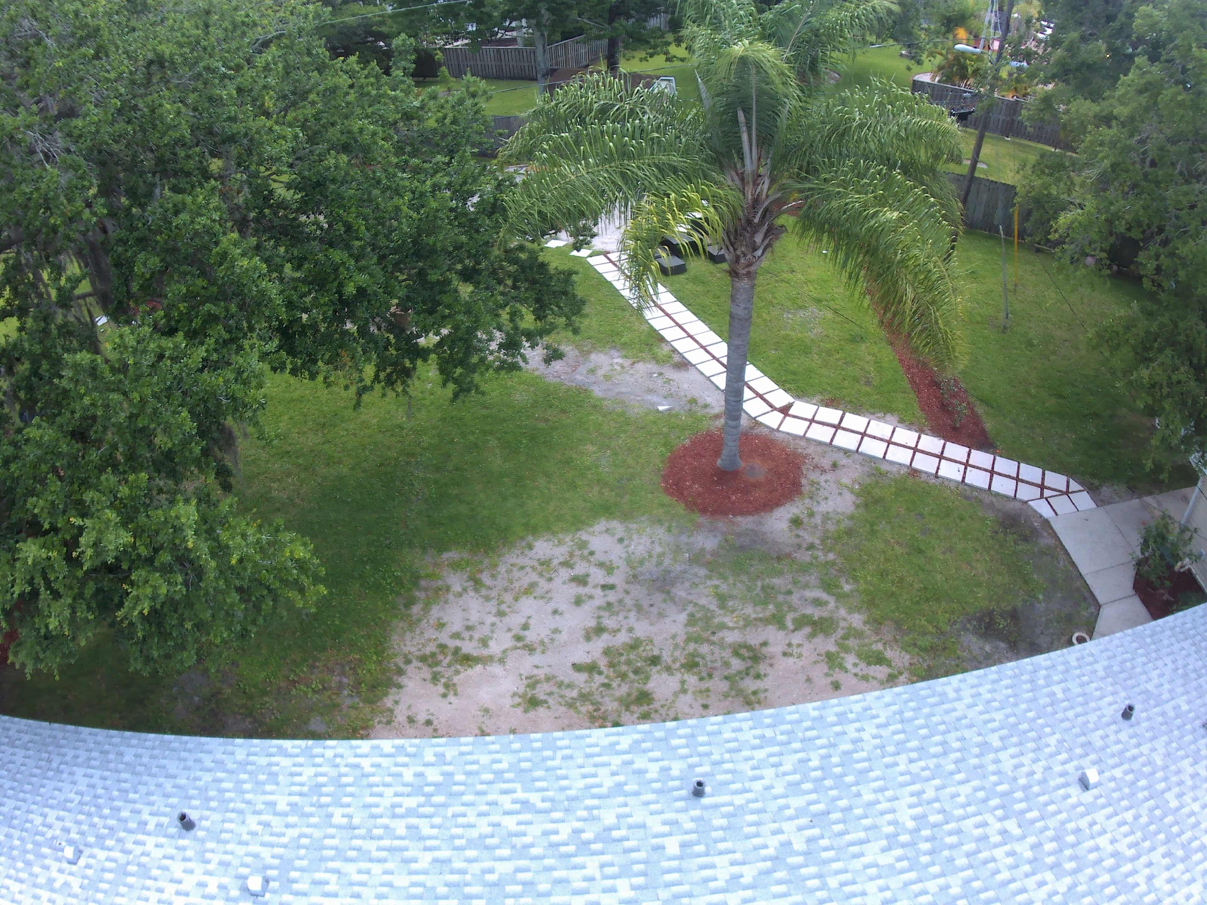 A grassy area with a single palm tree and a path made of stepping stones leading through the landscape.