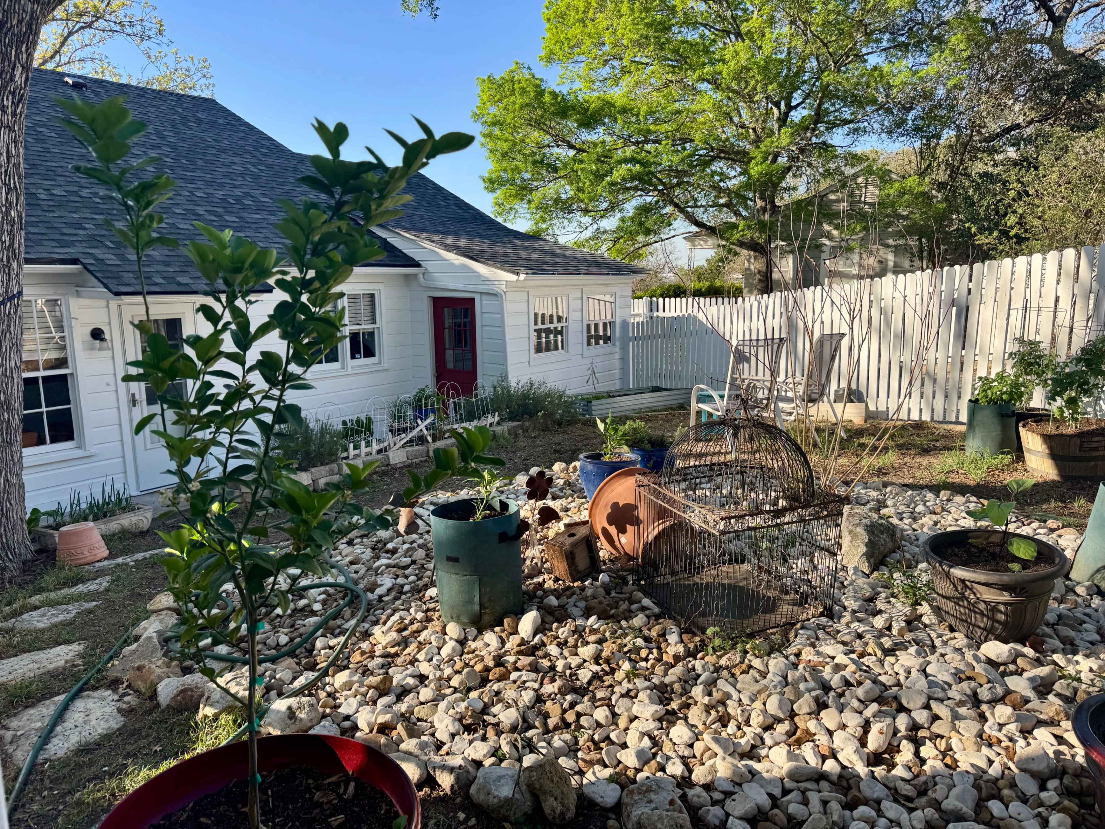 The image shows a yard with a variety of plants, stones, and pots, bordered by a white wooden fence and a house with a red door.