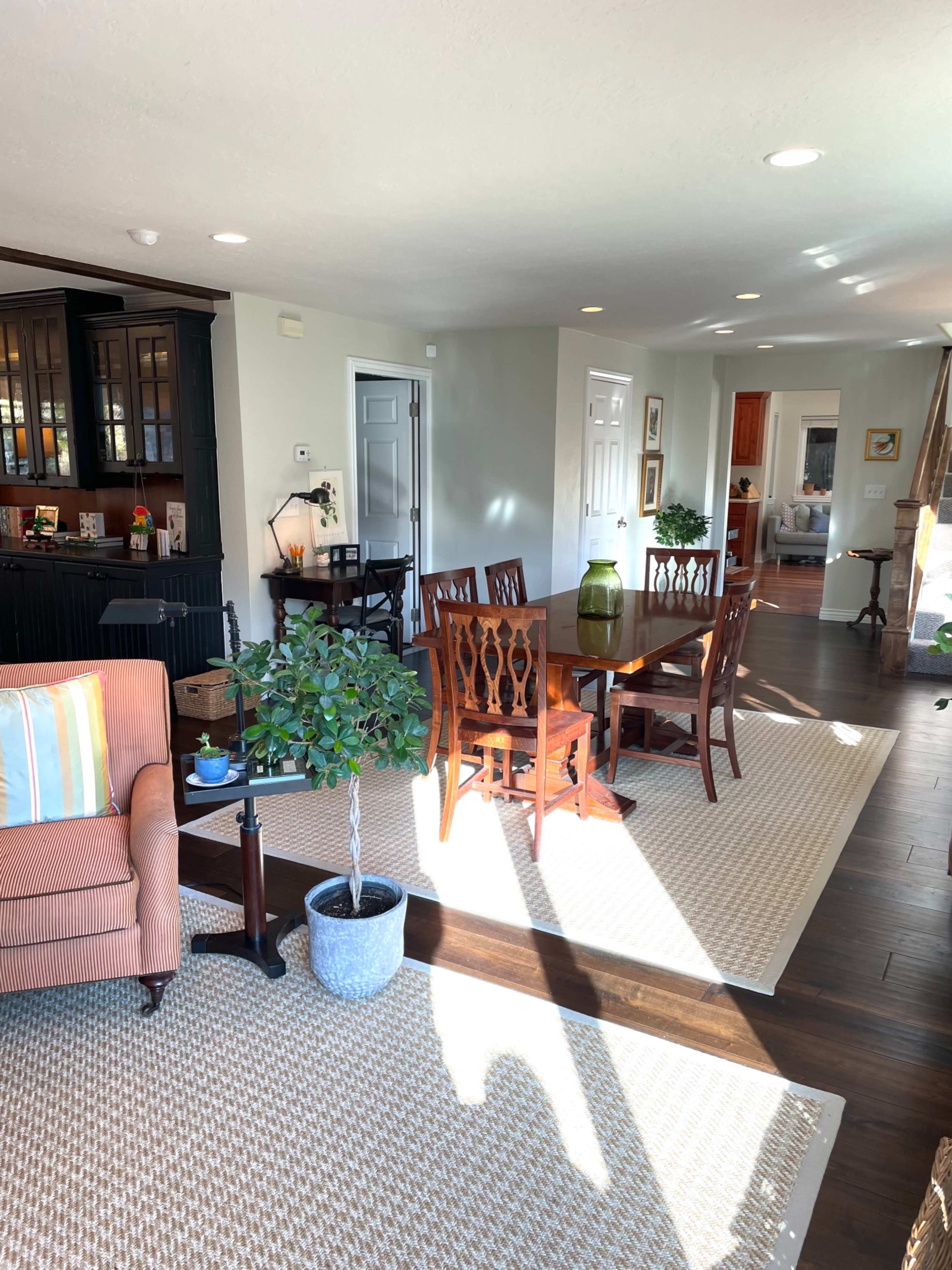 A well-lit living space featuring a seating area with a sofa, a dining table with chairs, and a small potted plant near a woven rug.