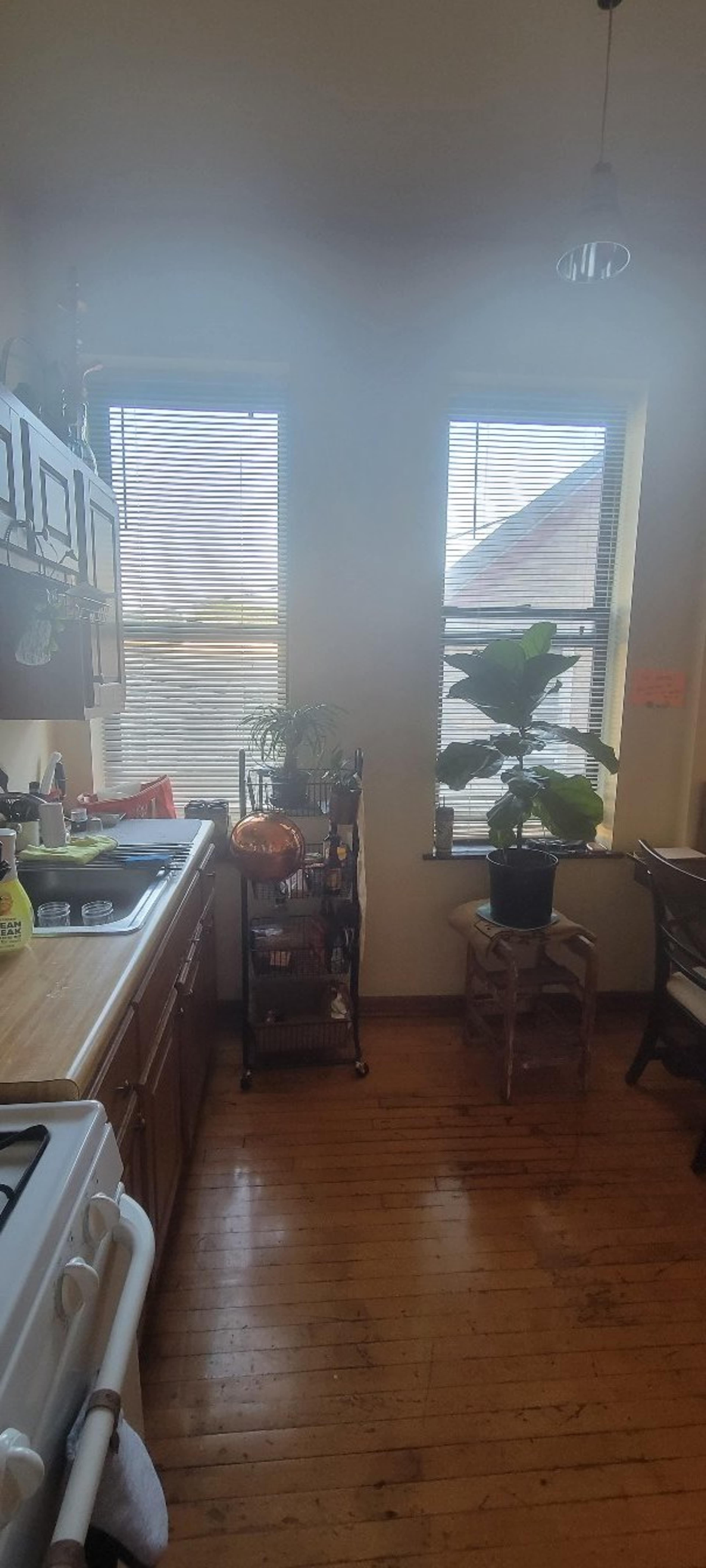 A kitchen with wooden cabinets, a stove, a sink, and two windows allowing natural light, featuring plants on a shelf and a potted plant near the window.