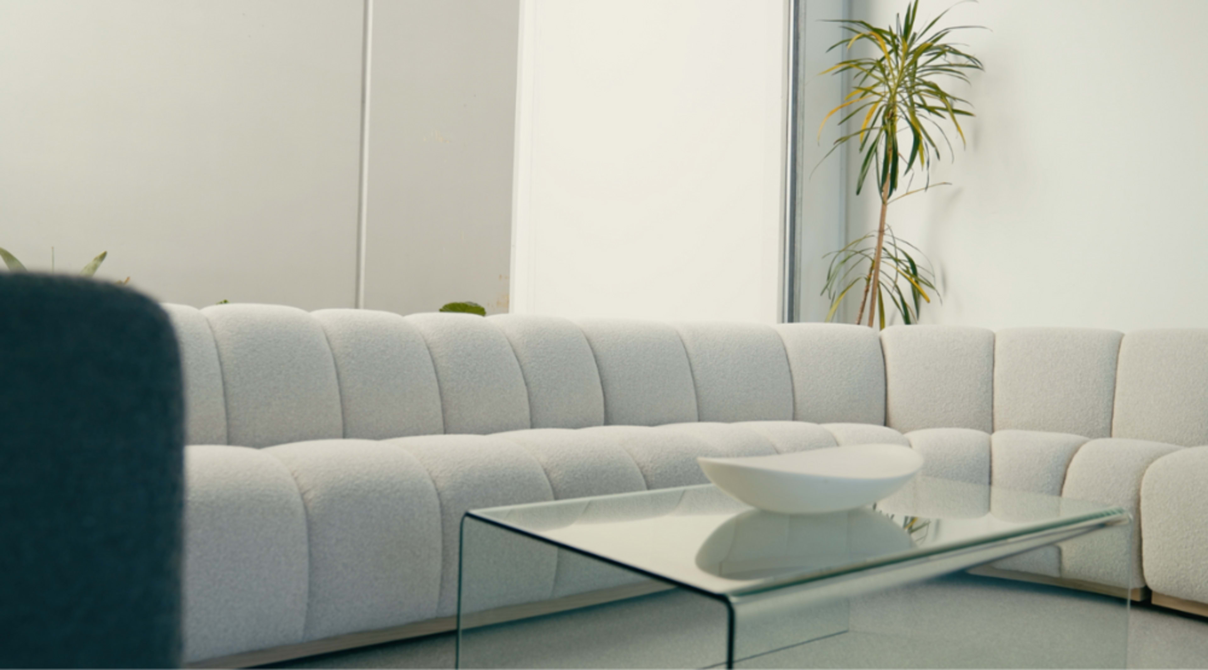 A light-colored, curved sectional sofa is positioned near a glass coffee table in a minimalist room with a potted plant in the background.