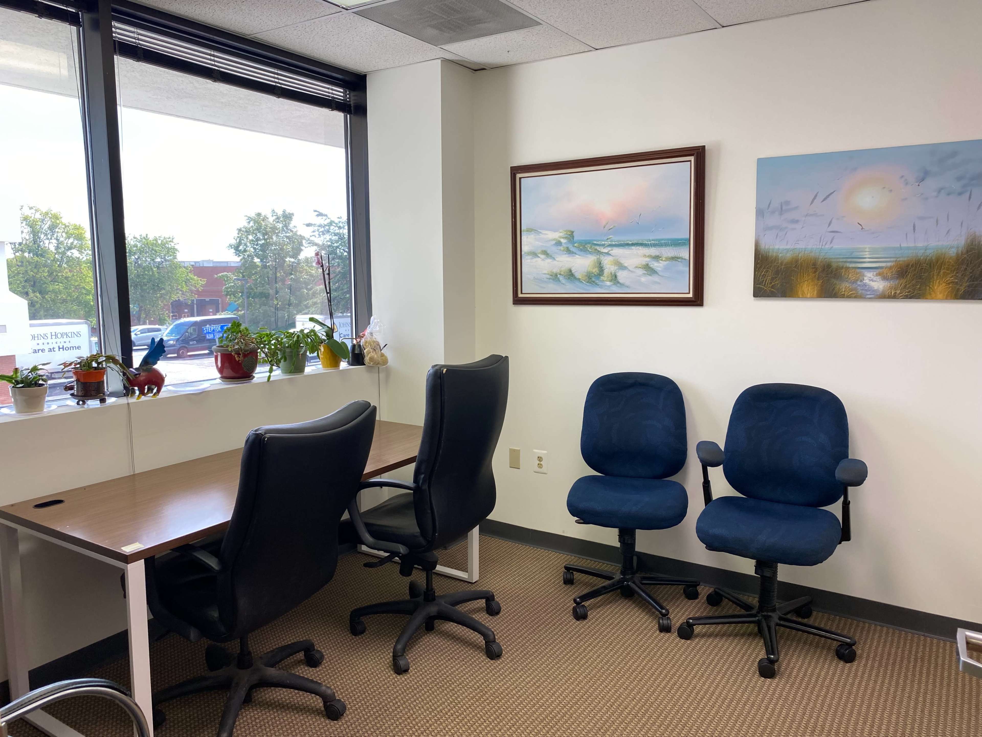 The image shows a small office with two black office chairs and two blue chairs arranged around a wooden desk, alongside windows with some potted plants and two framed paintings on the walls.