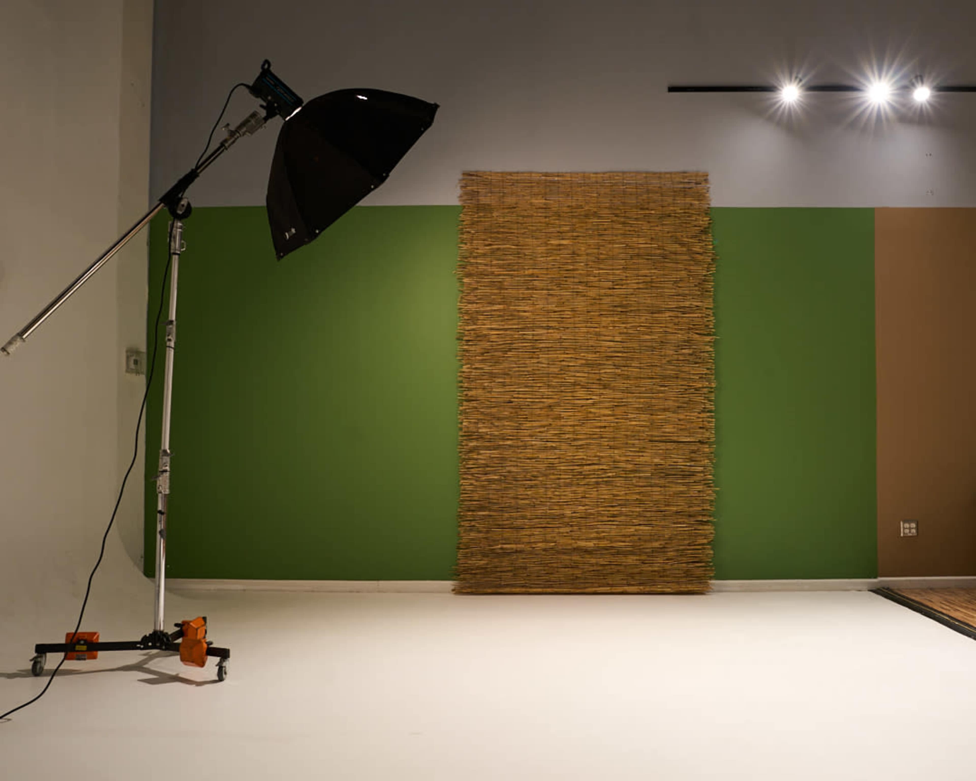 The image shows a studio setting with a large softbox light positioned to the left, a textured wall installation in natural tones, and brightly colored walls.