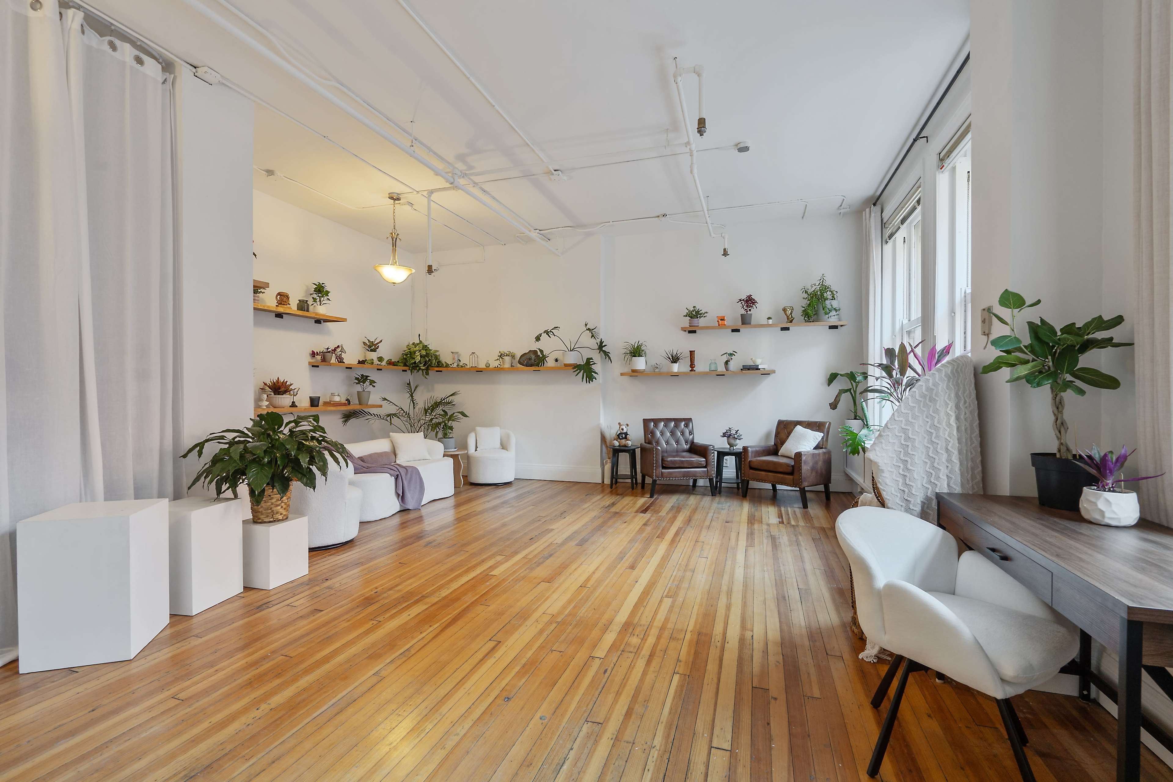 The image shows a spacious, well-lit room with wooden floors, featuring plants on shelves, two armchairs, and a table along one wall.
