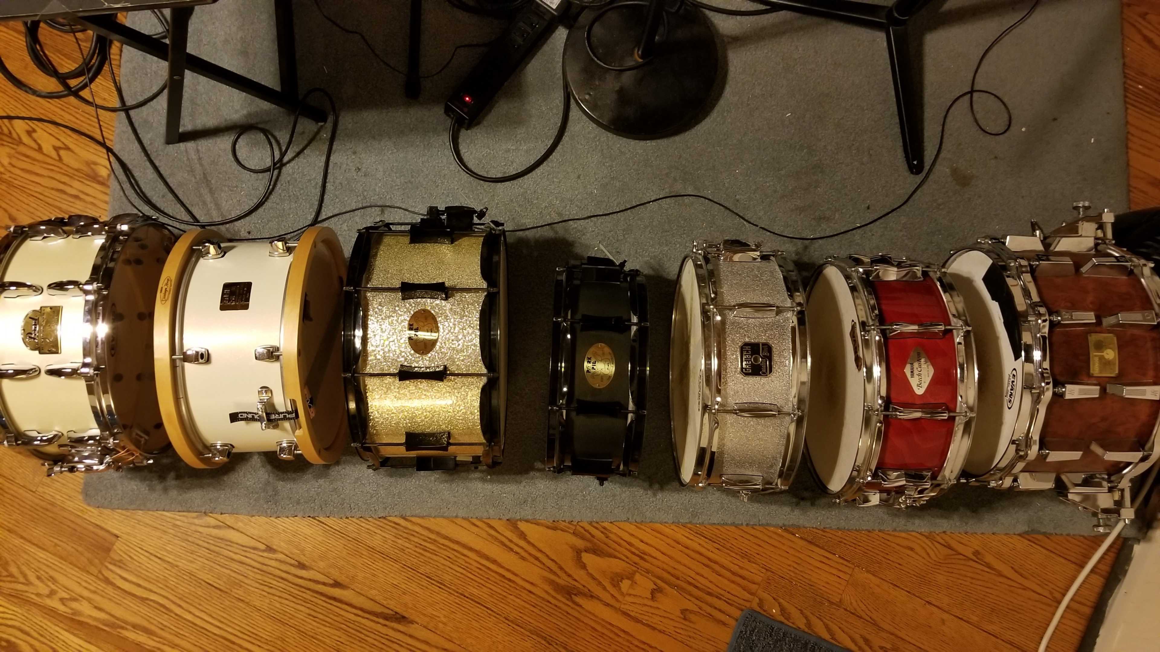 A row of eight drum snare drums of varying colors and finishes arranged on a carpeted floor.