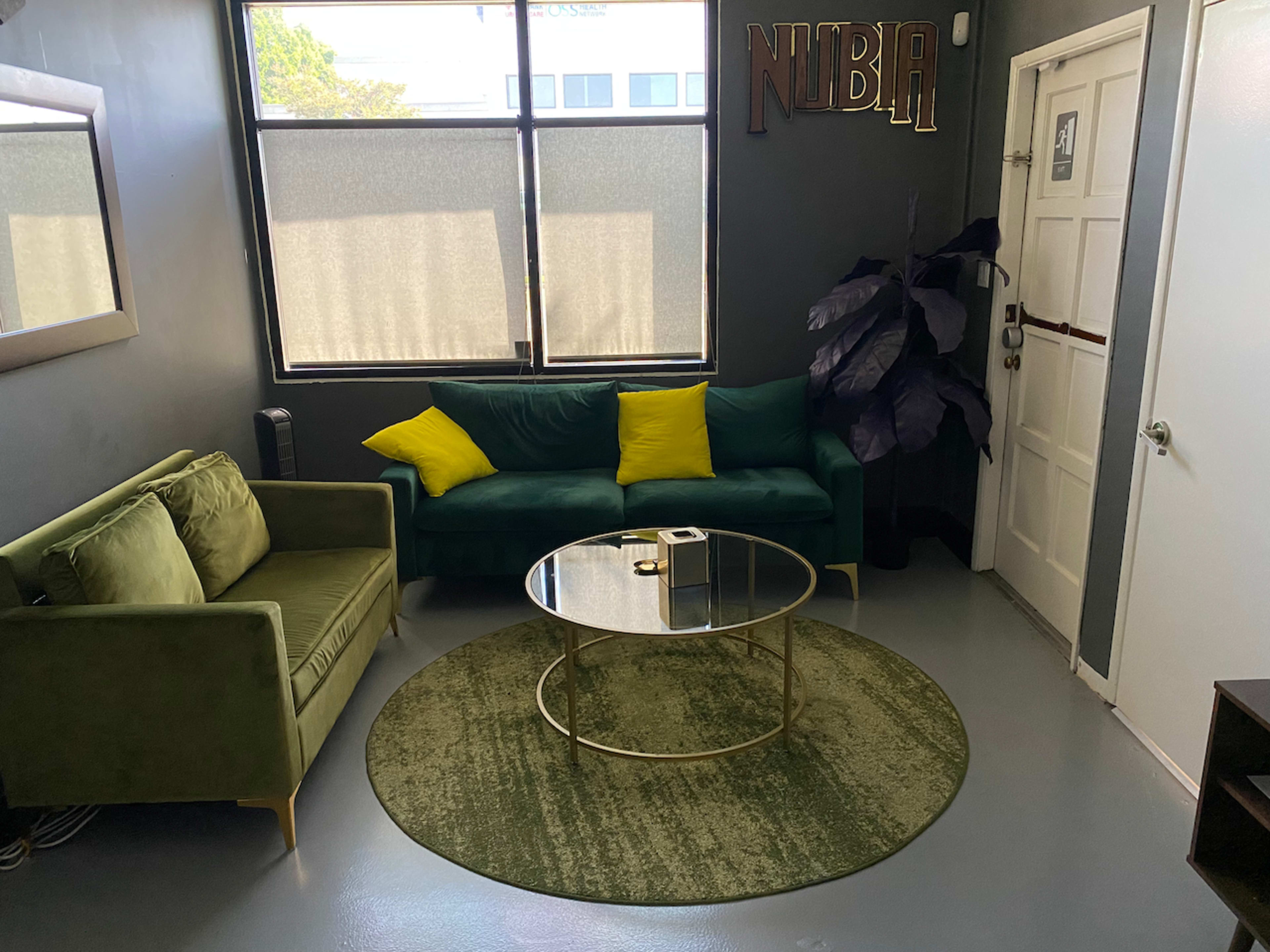 The image shows a modern living area with a green sofa, a round rug, a glass coffee table, and a decorative plant near a window.