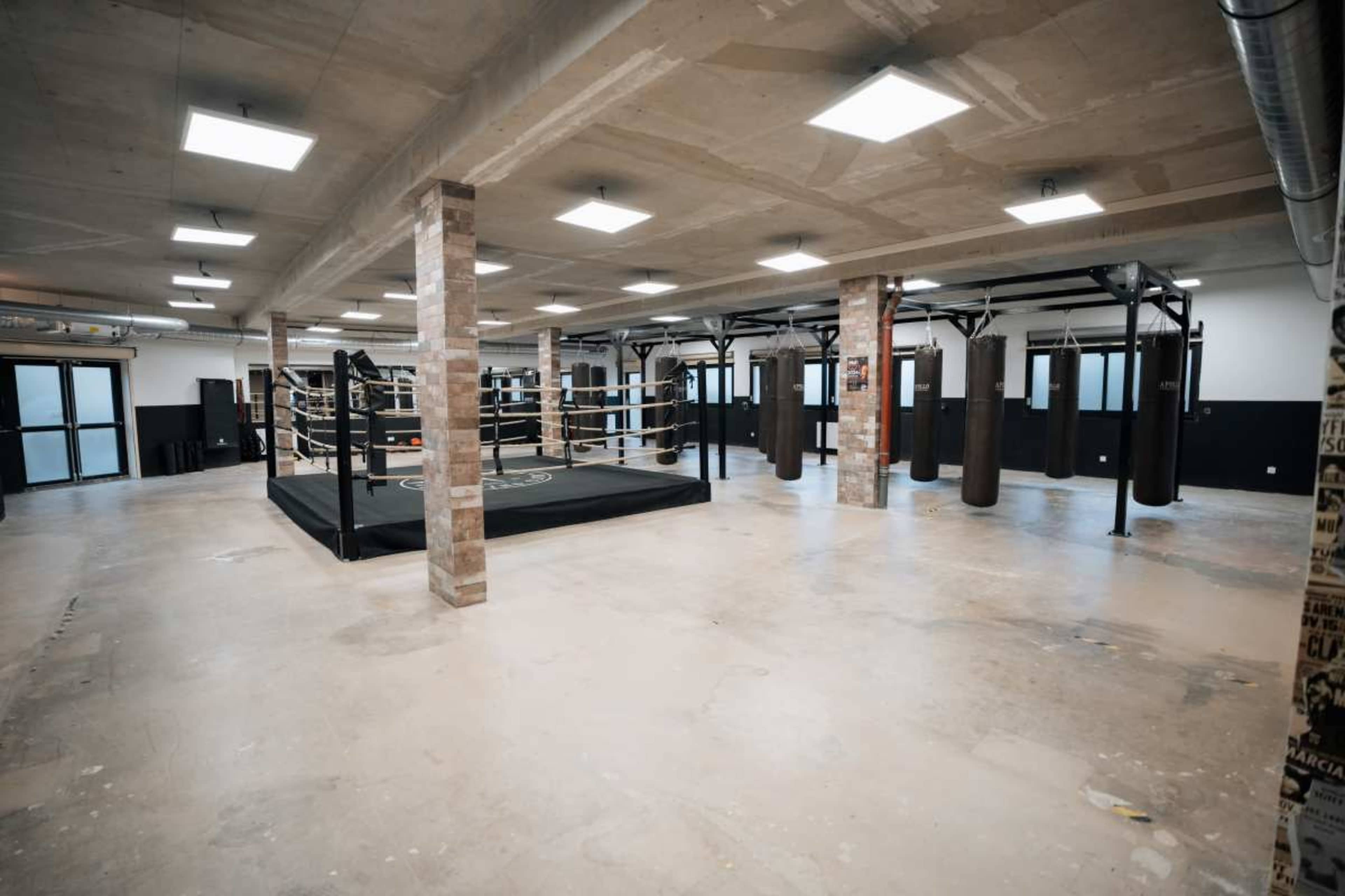 The image shows an empty boxing gym featuring a central boxing ring surrounded by hanging punching bags and exposed concrete walls.