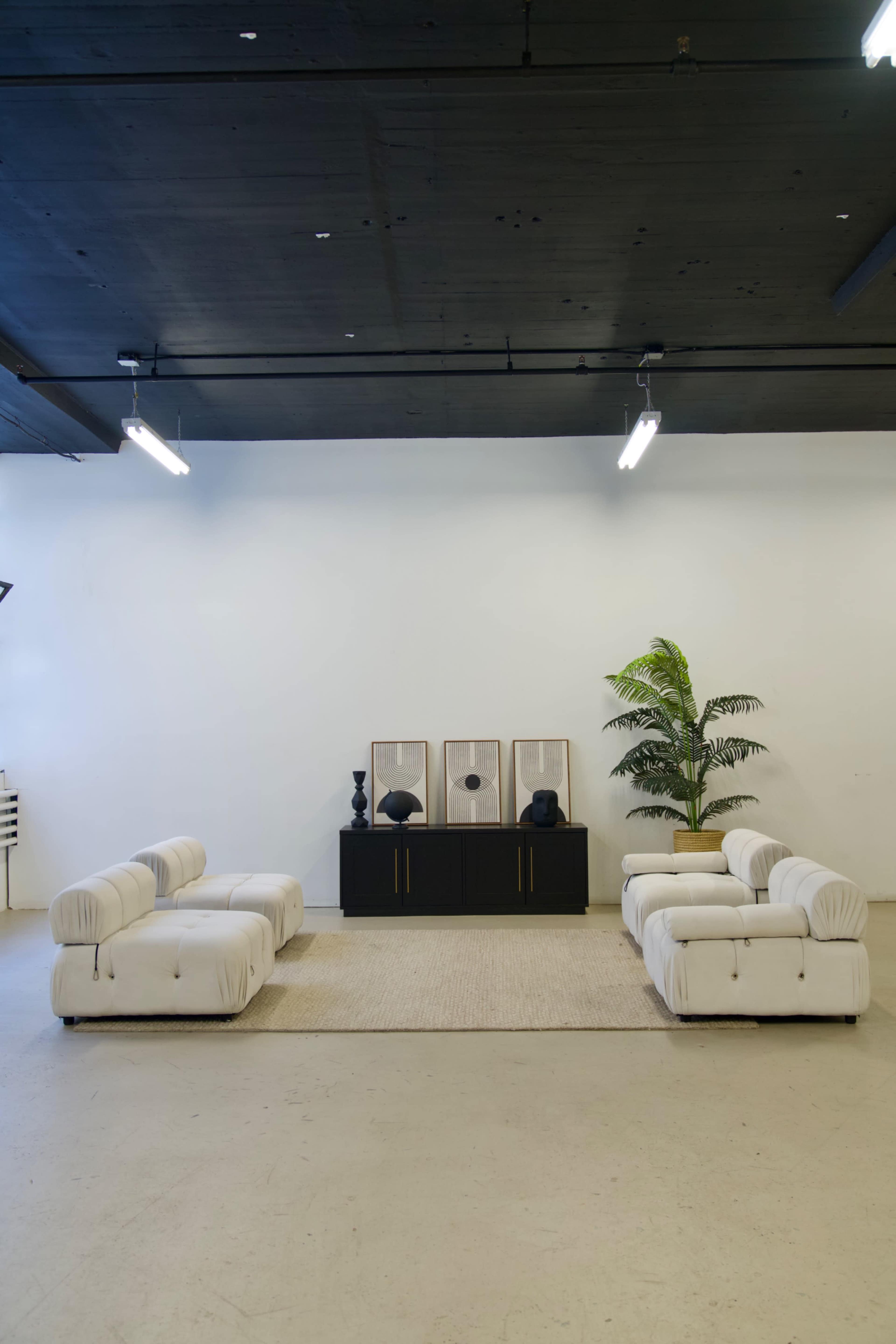 A spacious room features two sets of white sofas facing a black cabinet with decorative items, flanked by a large plant, all set on a light-colored rug.