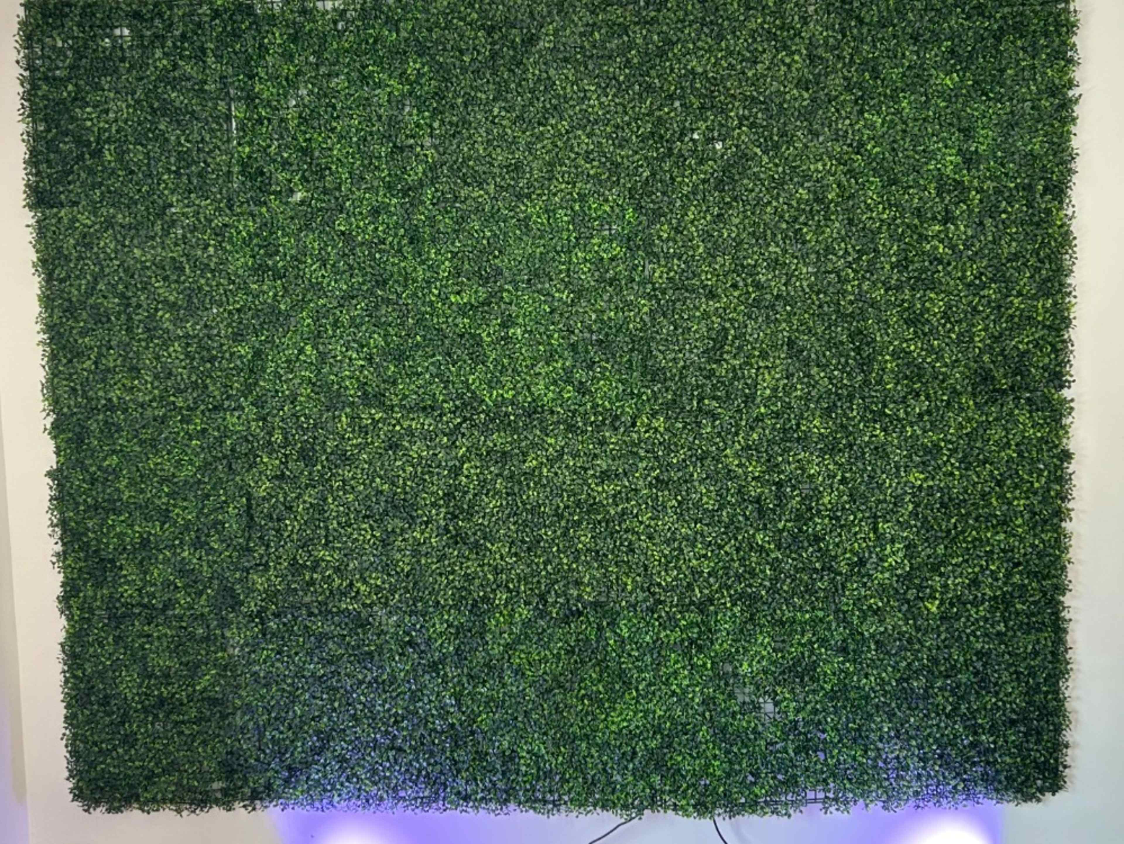 Grass Backdrop