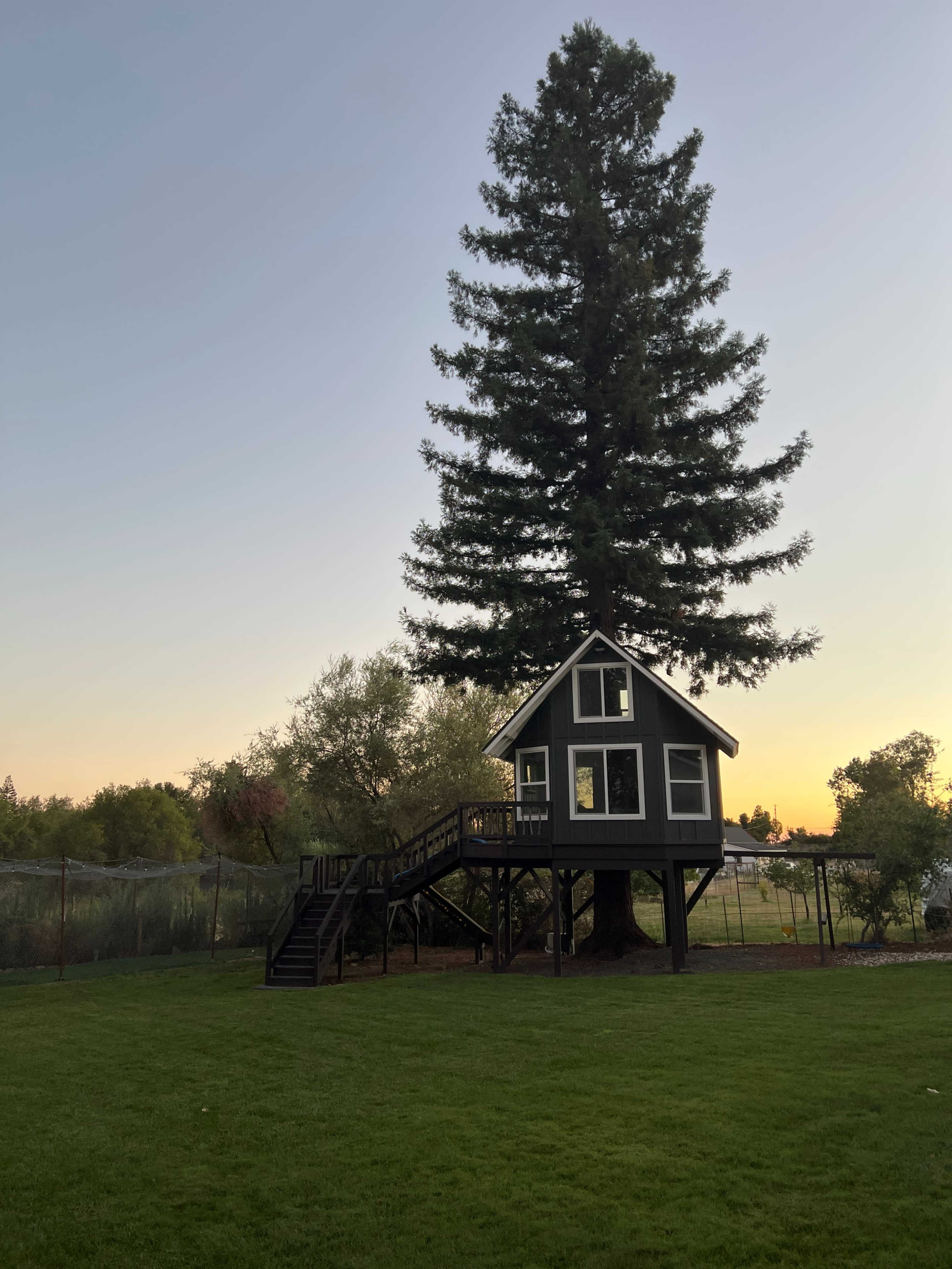 A treehouse sits elevated on a sturdy platform beneath a tall pine tree, surrounded by a green lawn and various trees at sunset.