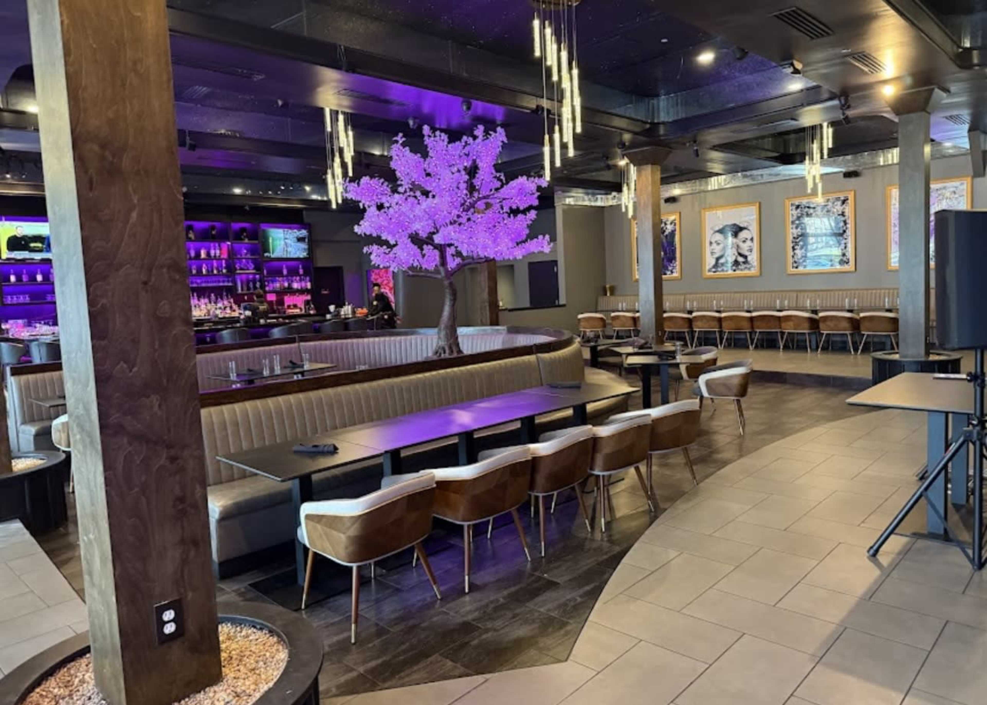 The image shows a modern restaurant interior featuring a central bar area illuminated with purple lighting and a decorative cherry blossom tree.