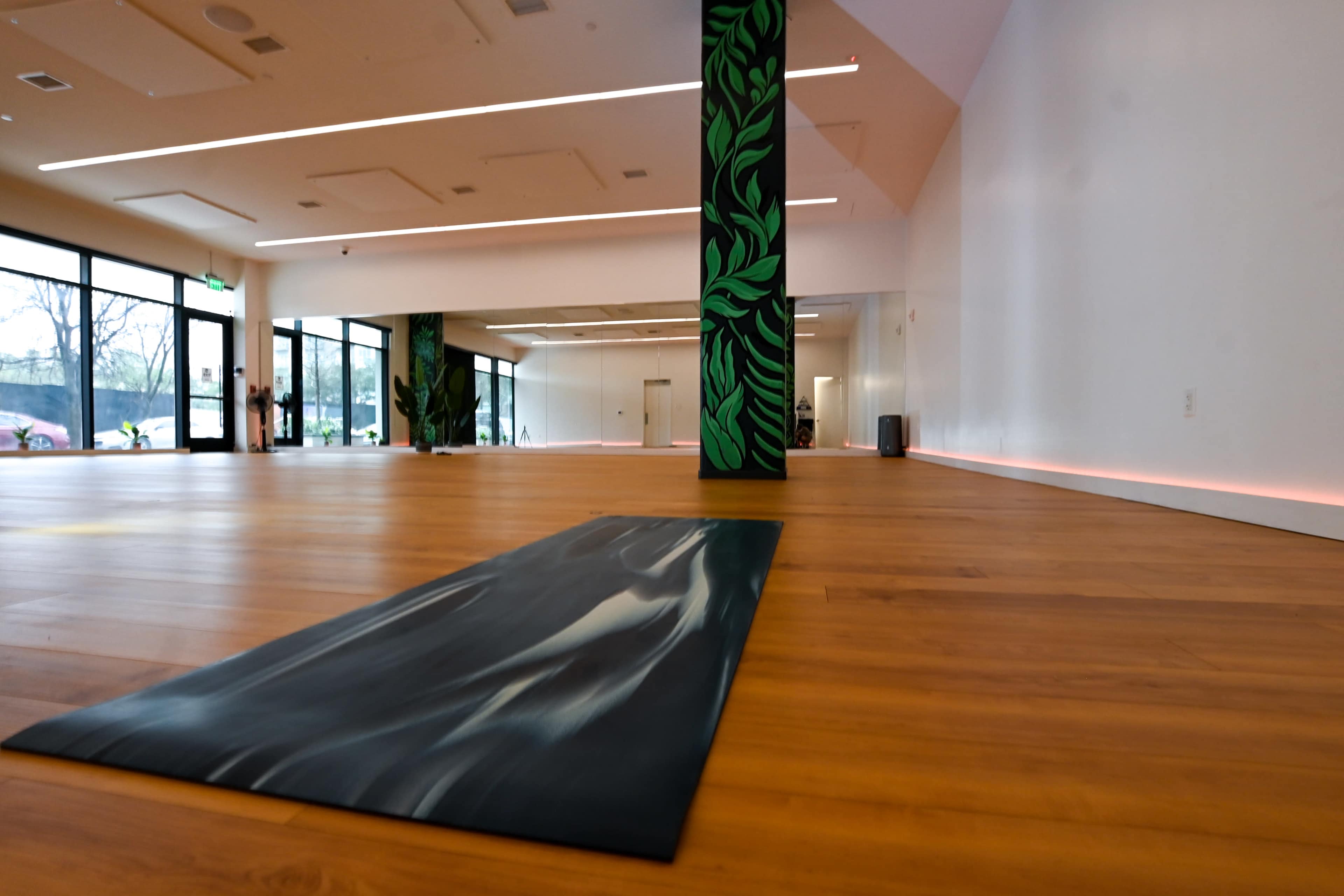 Midtown Yoga Studio with Natural Light Image in South Central Houston, Houston, TX