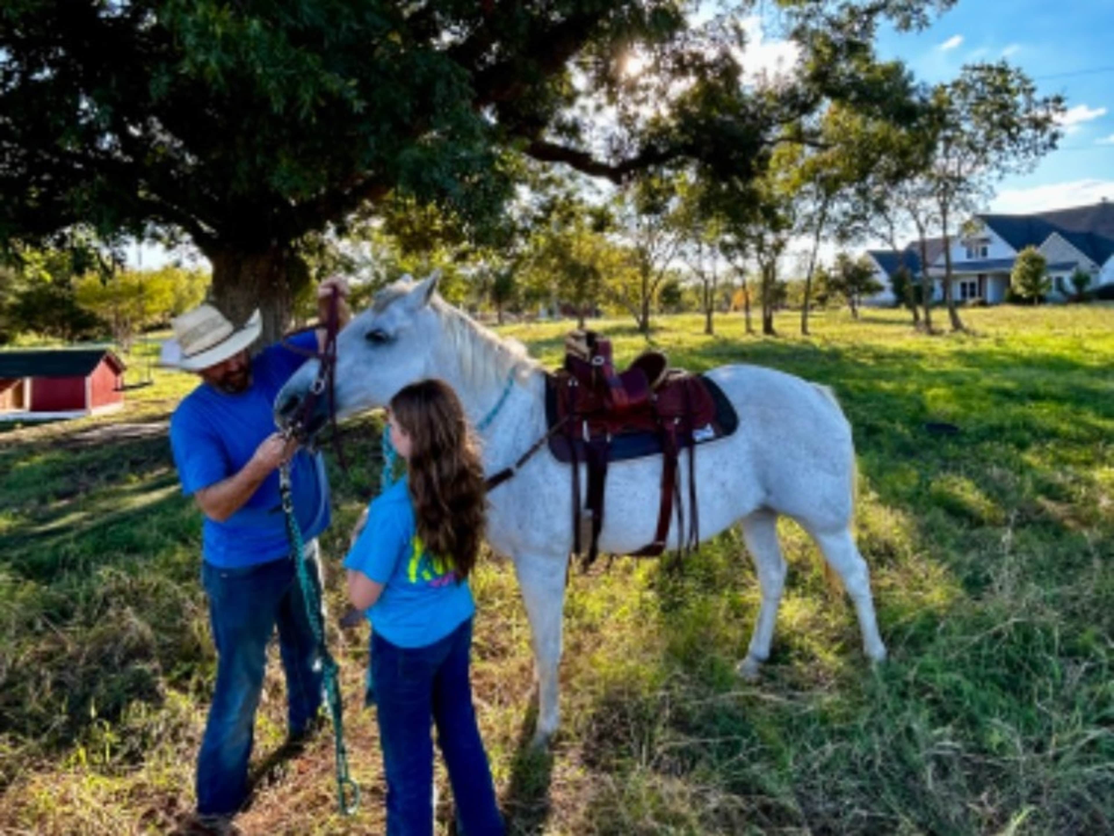 Horse raiding