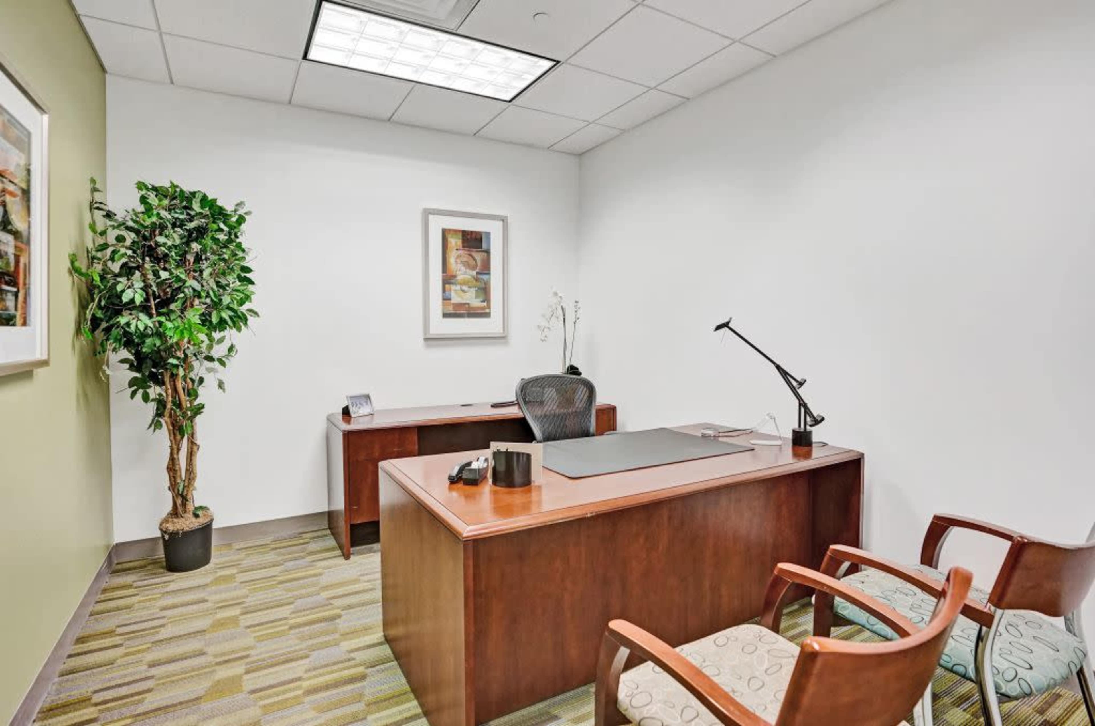 A small office with a wooden desk, a chair, and a potted plant in one corner.
