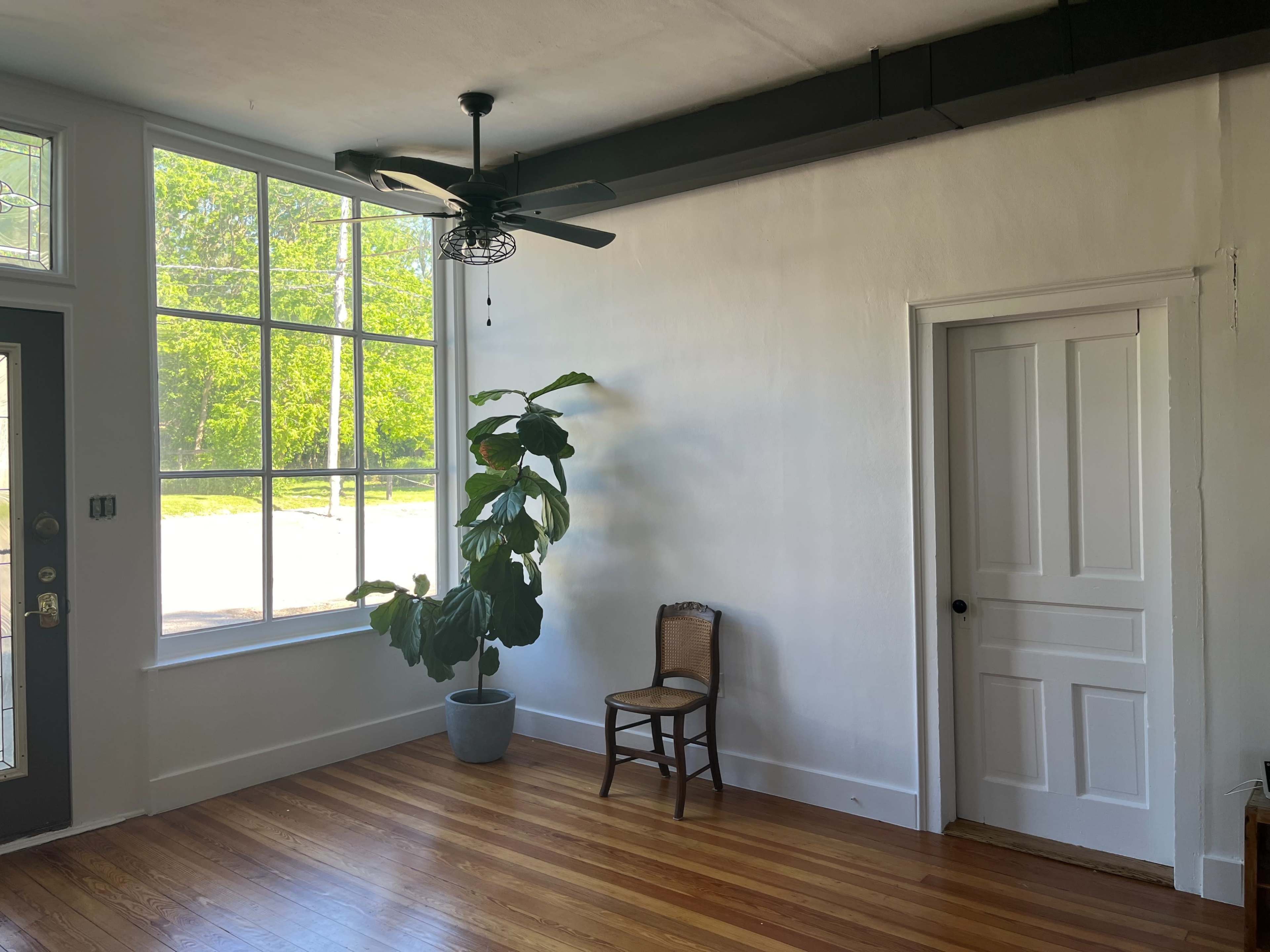 The image shows a bright room with a large window, a potted plant, a single wooden chair, and a closed door.