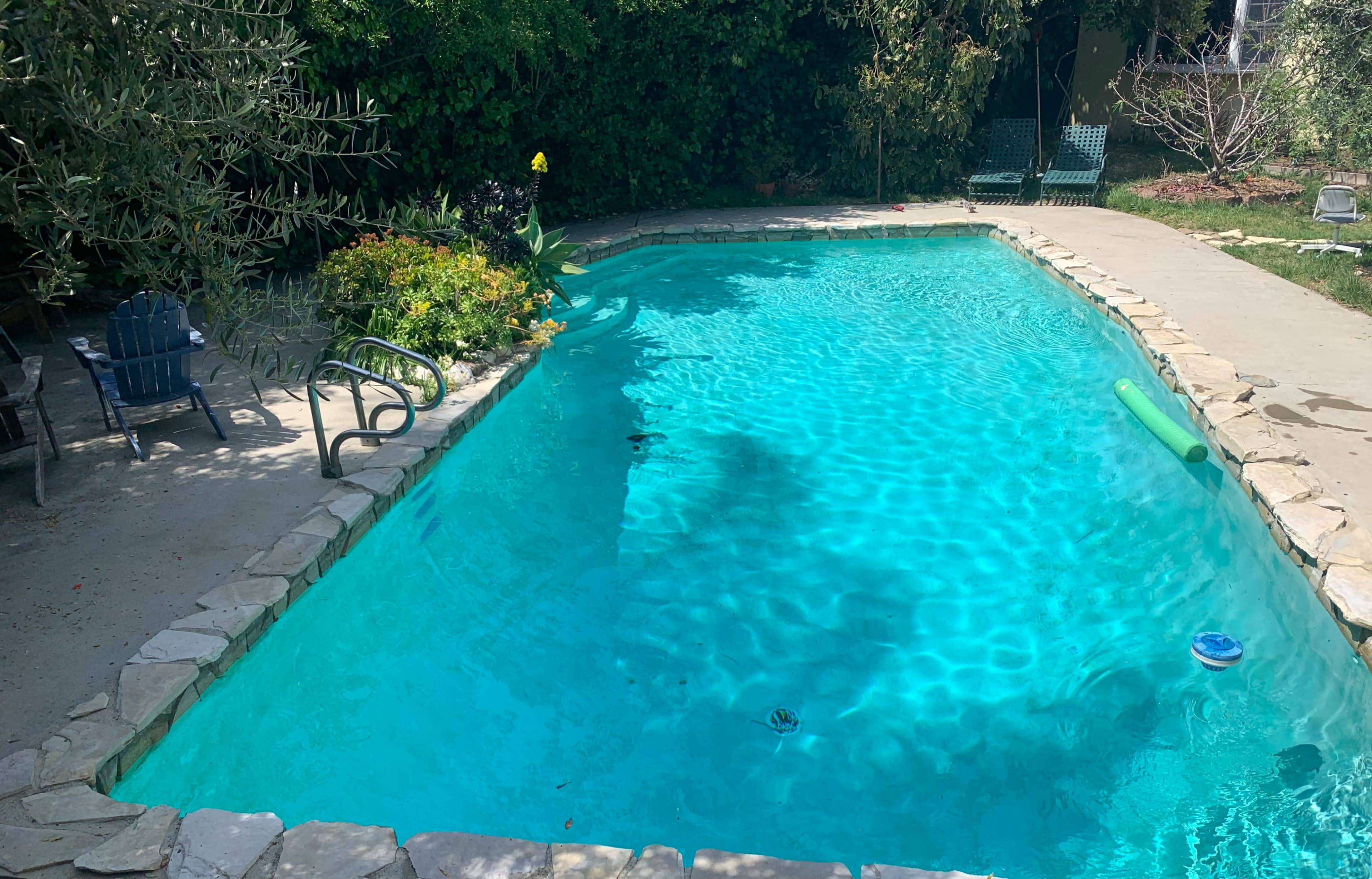 A clear swimming pool surrounded by a grassy area and landscaped gardens.
