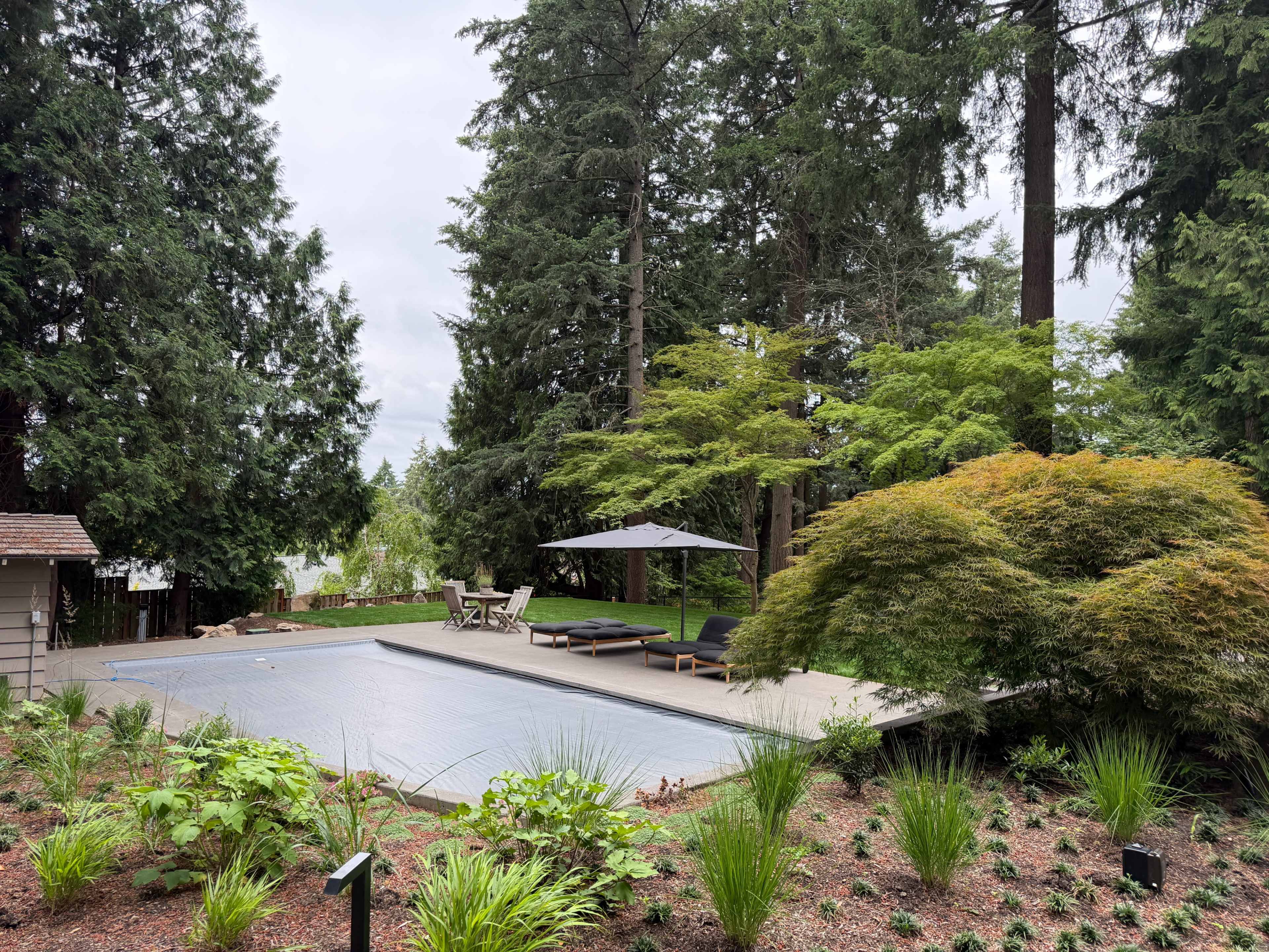 A swimming pool with a covered lounge area is surrounded by lush greenery and tall trees.