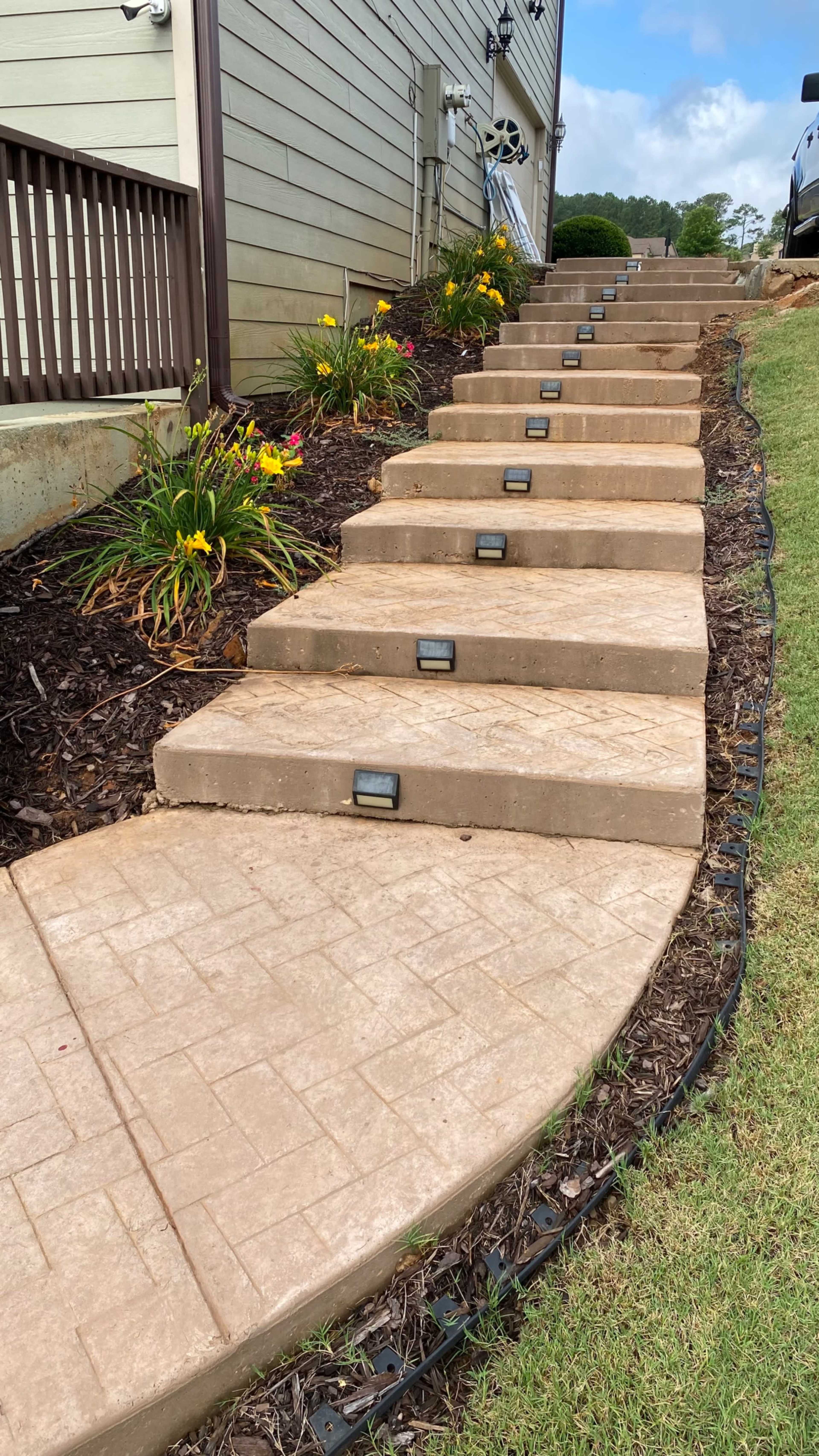A series of concrete steps leading up a landscaped path, illuminated by small lights, with flower beds on either side.