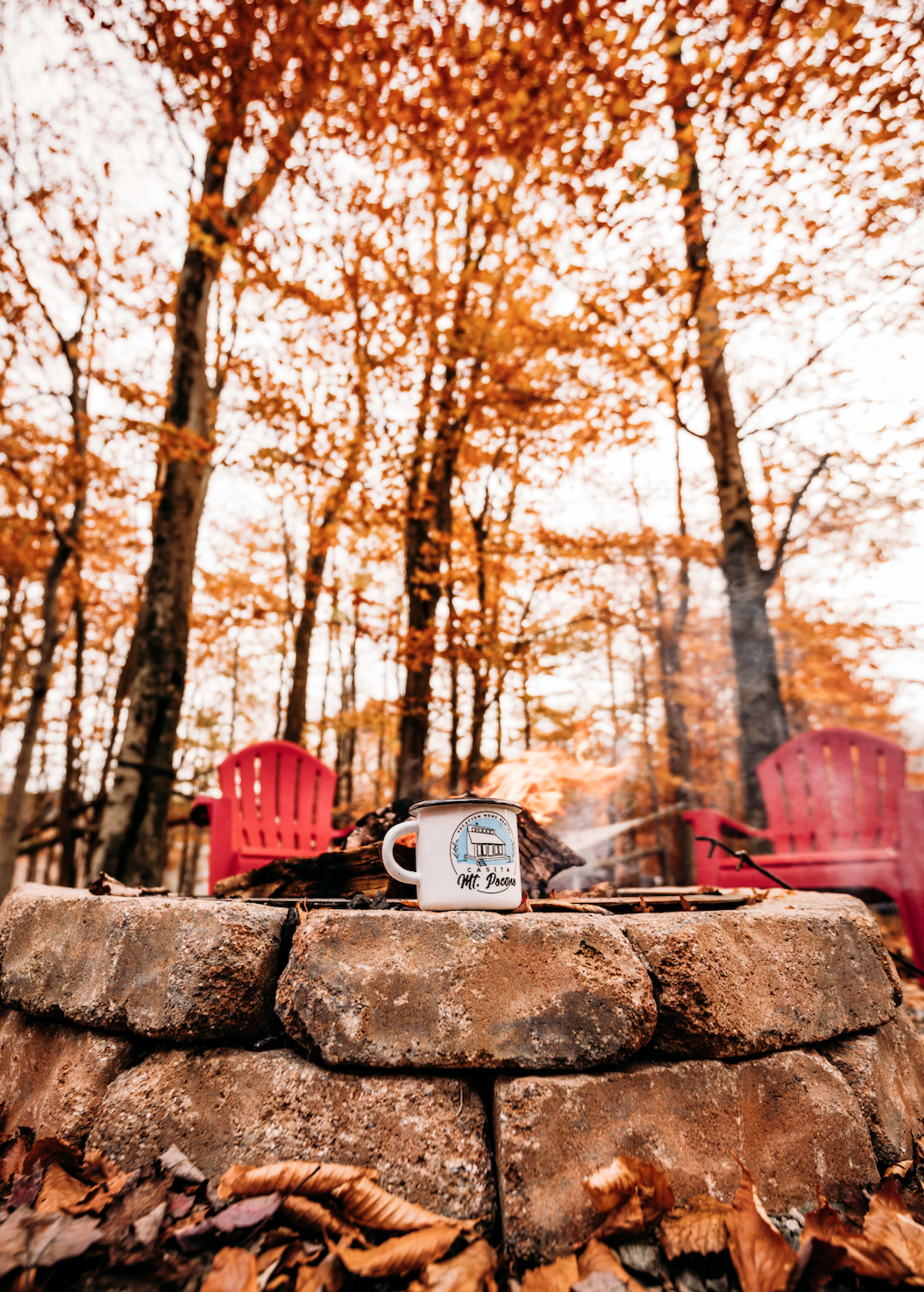 A mug sits on a stone fire pit surrounded by red chairs and autumn leaves under a canopy of orange trees.